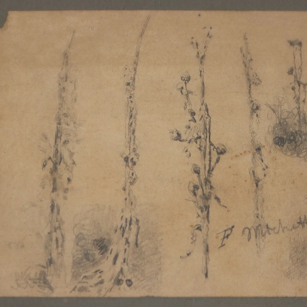 Bozzetto di Francesco Paolo Michetti, '900 3