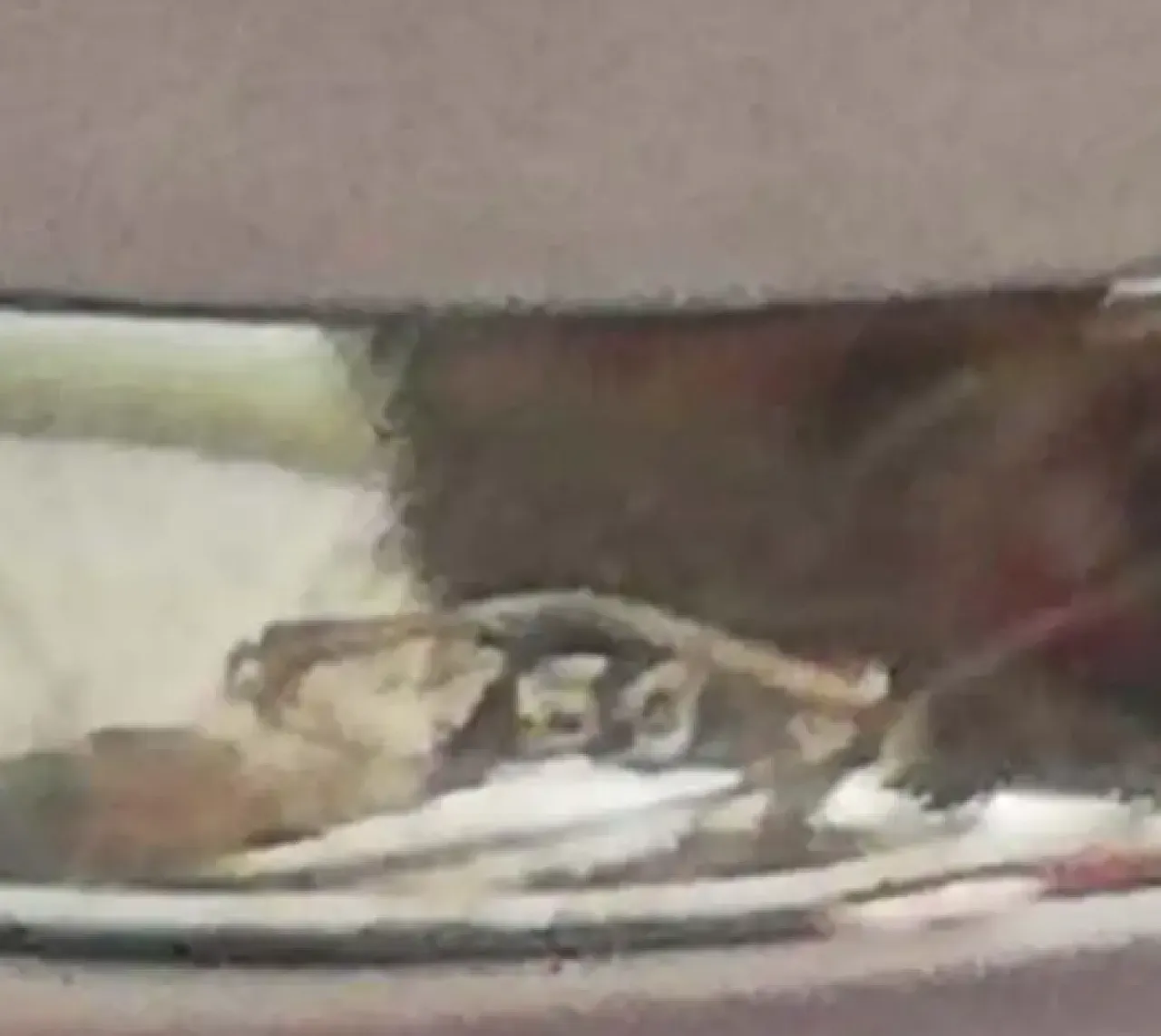 Anello in oro bianco 18 carati con perla e diamanti, anni 2000 5