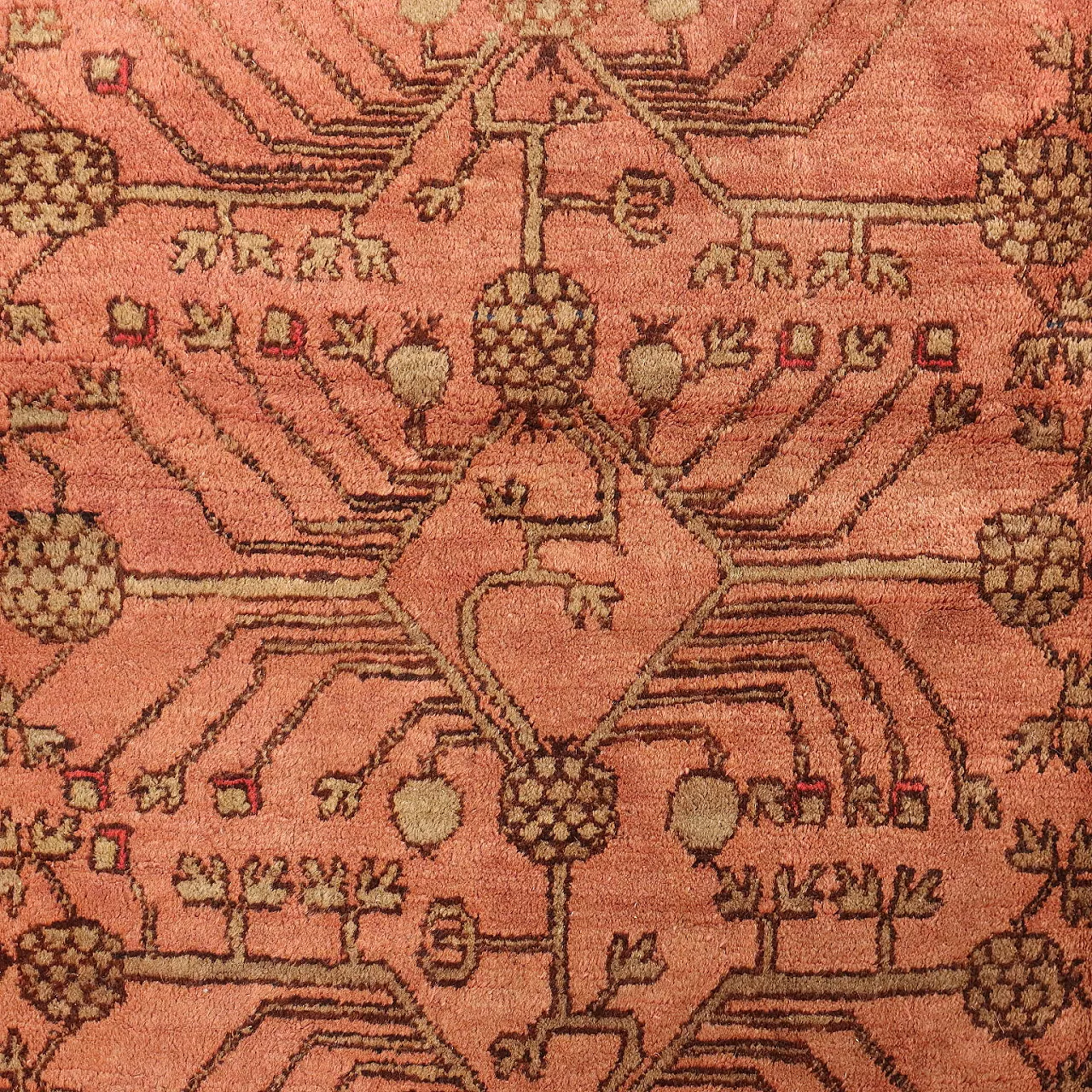 Kotan carpet cotton wool big knot Uzbekistan, 20th century 3