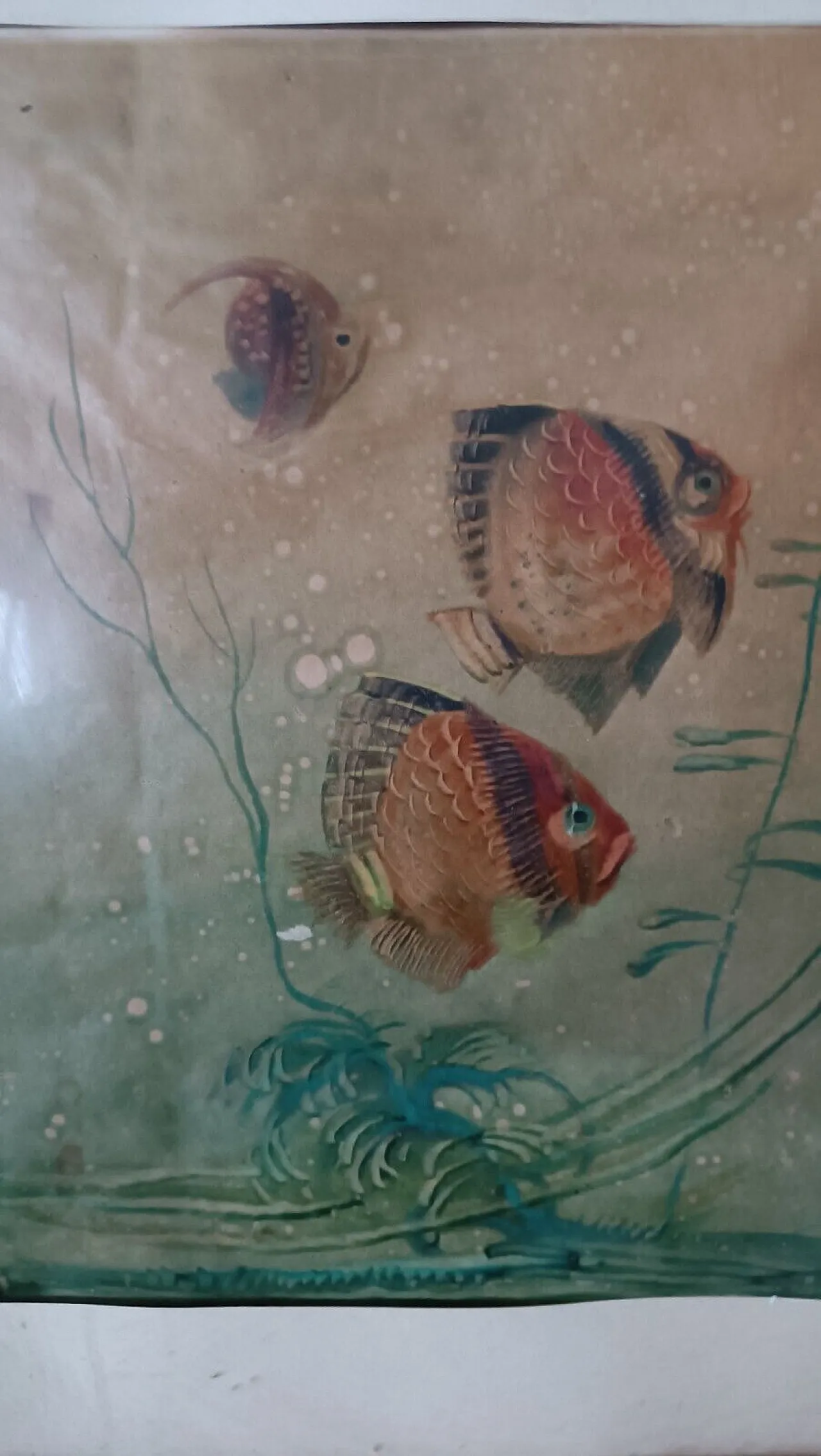 Pesci di Silvio Polloni, quadro tecnico misto, anni '20 6