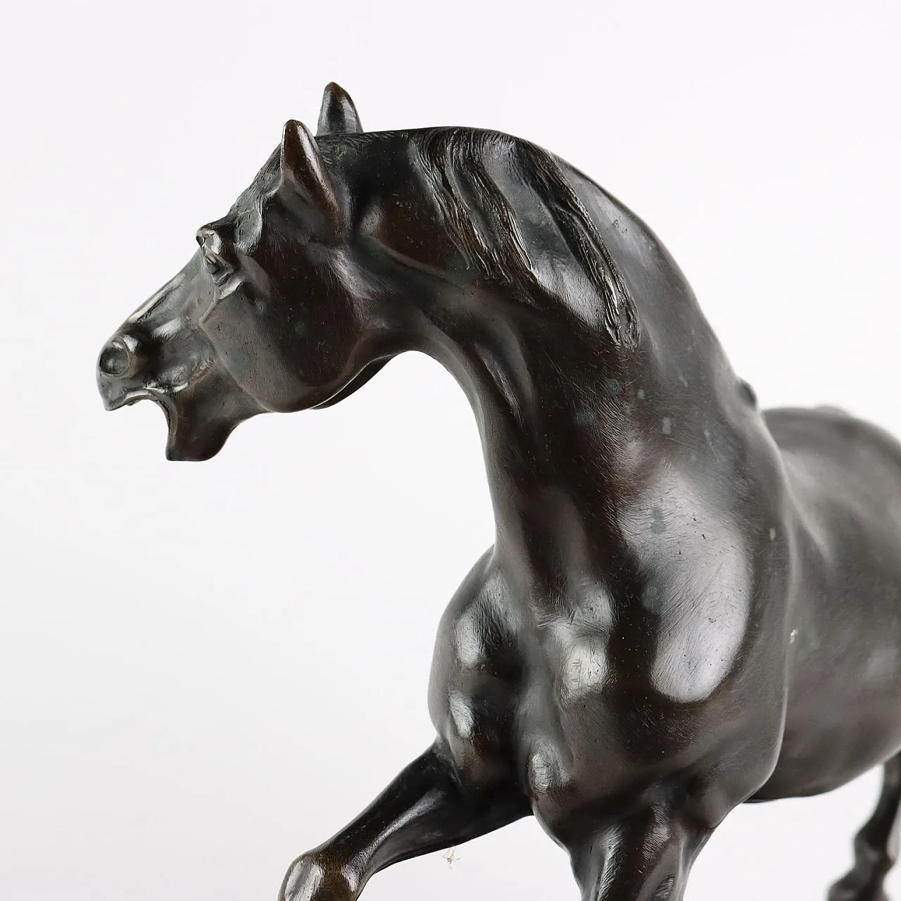 Bronze and marble horse, 20th century 6