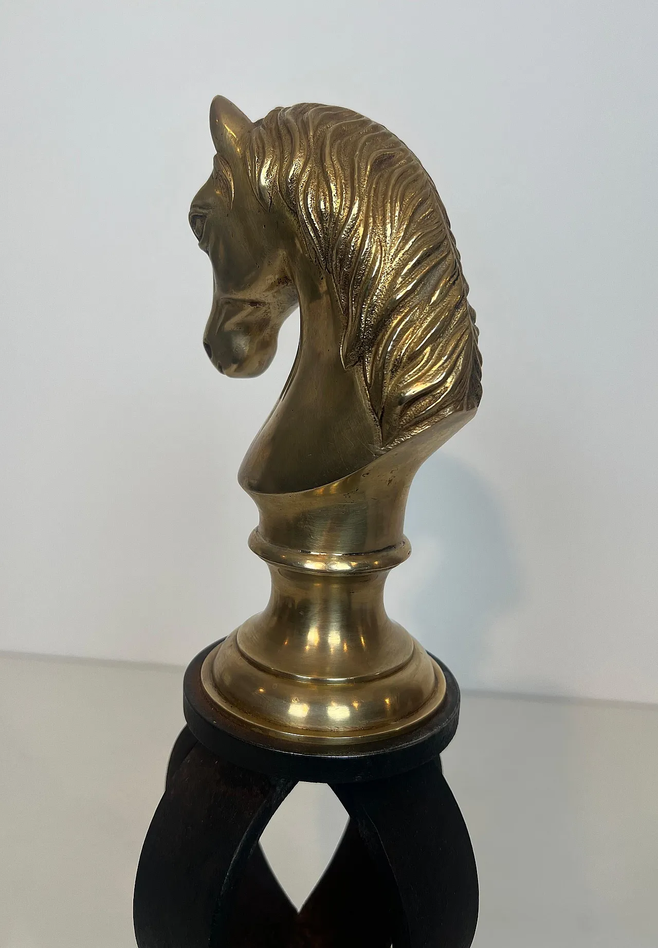 Pair of bronze & wrought iron hallways with horse heads, 20th century 9