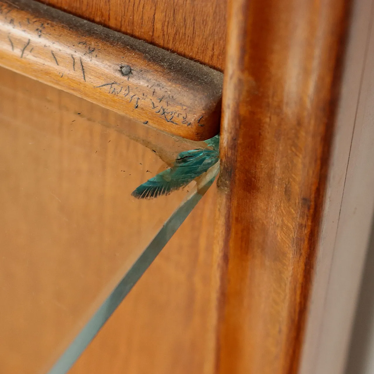 Appendiabiti in acero impiallacciato, metà '900 5