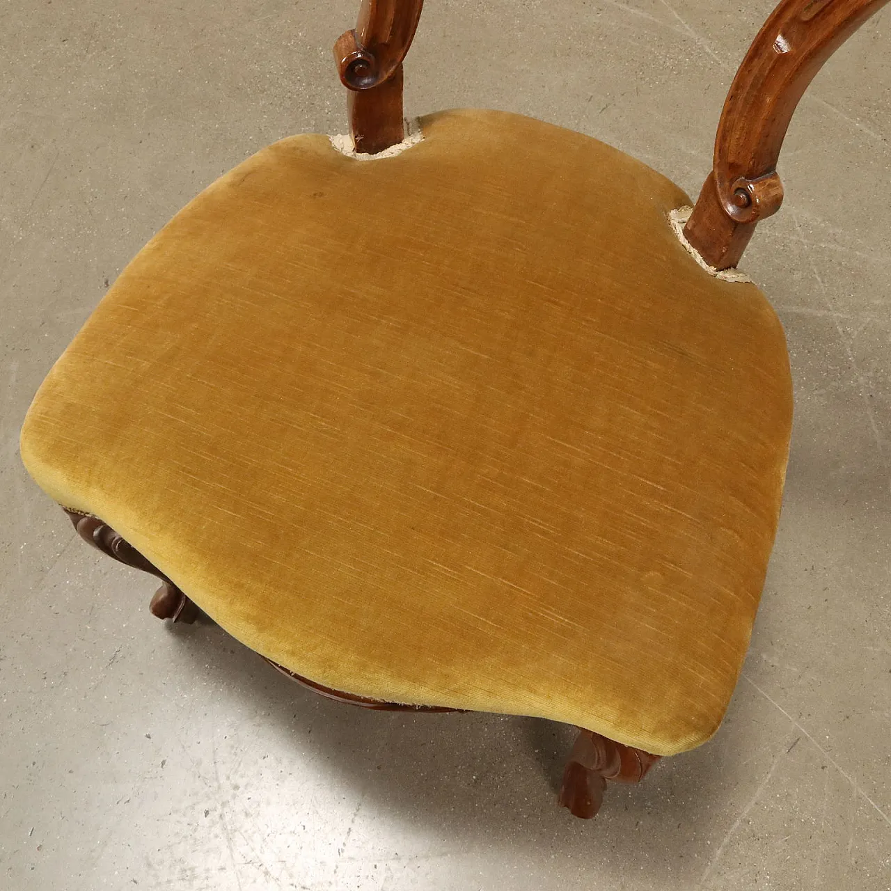 6 Sedie in noce intagliato e sedute imbottite, '800 8