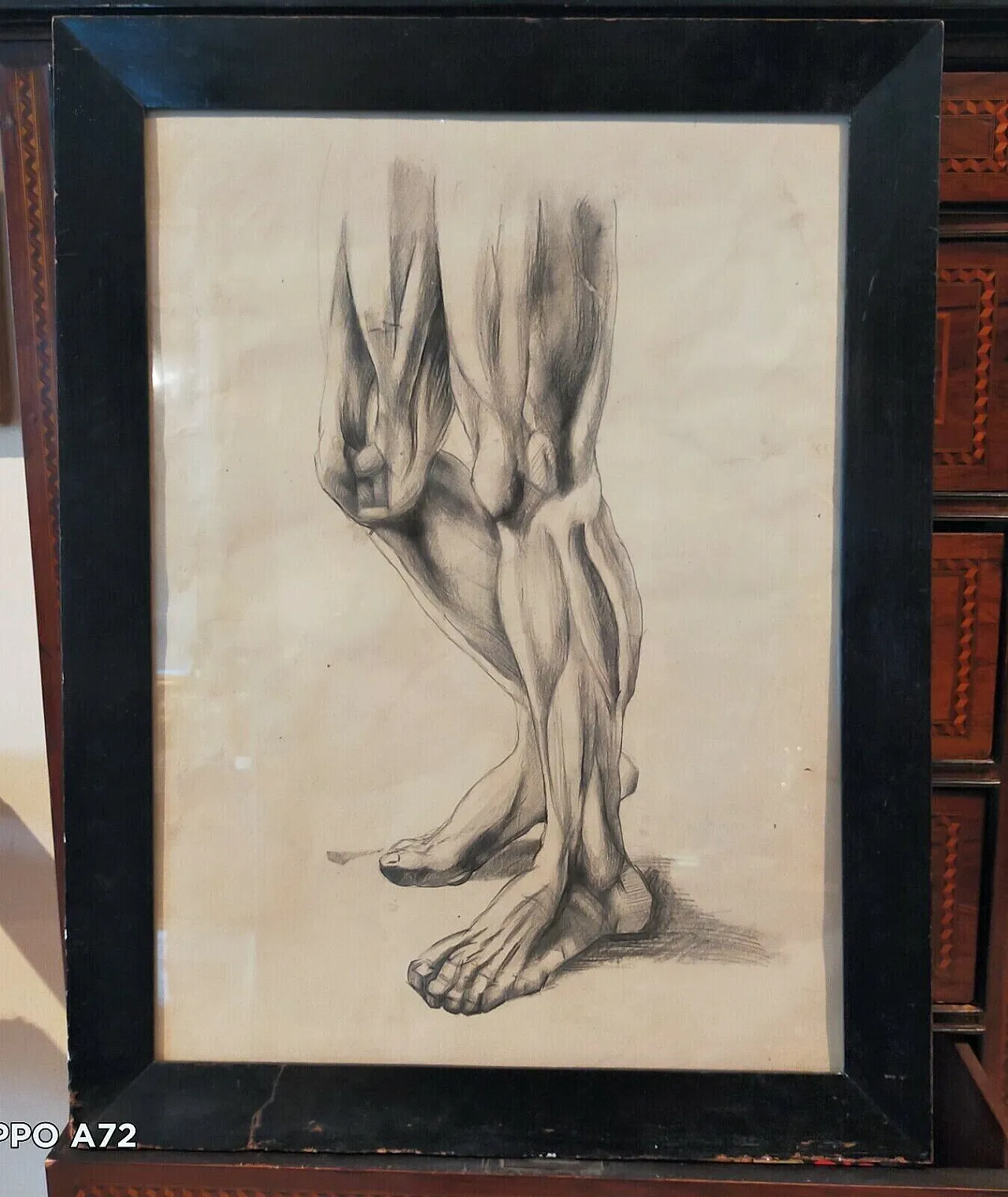 Disegno anatomico, matita su carta, primo '900 1