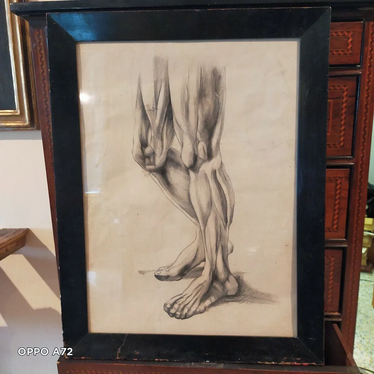 Disegno anatomico, matita su carta, primo '900 2