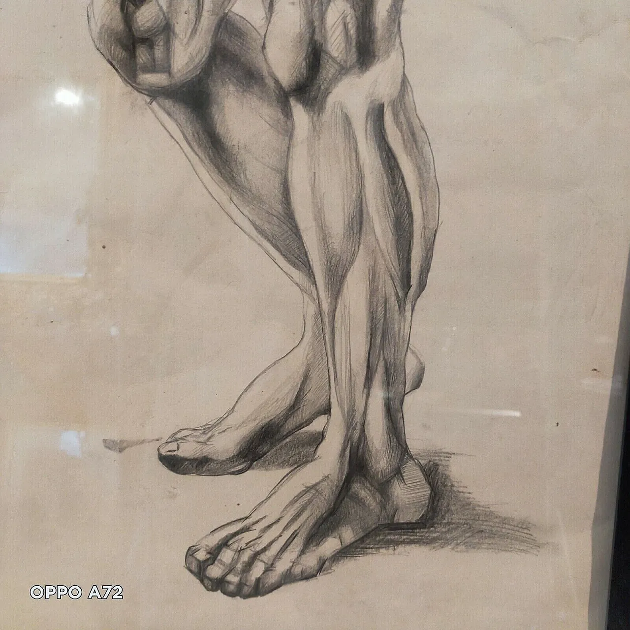 Disegno anatomico, matita su carta, primo '900 3