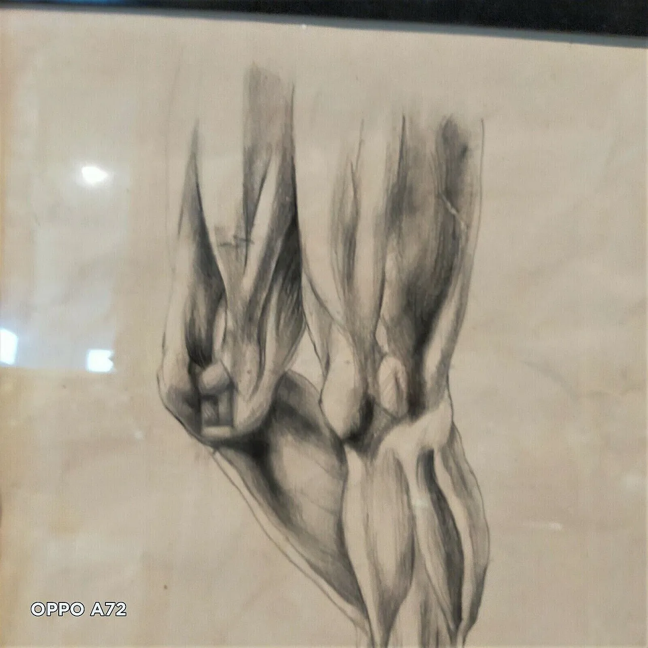 Disegno anatomico, matita su carta, primo '900 4