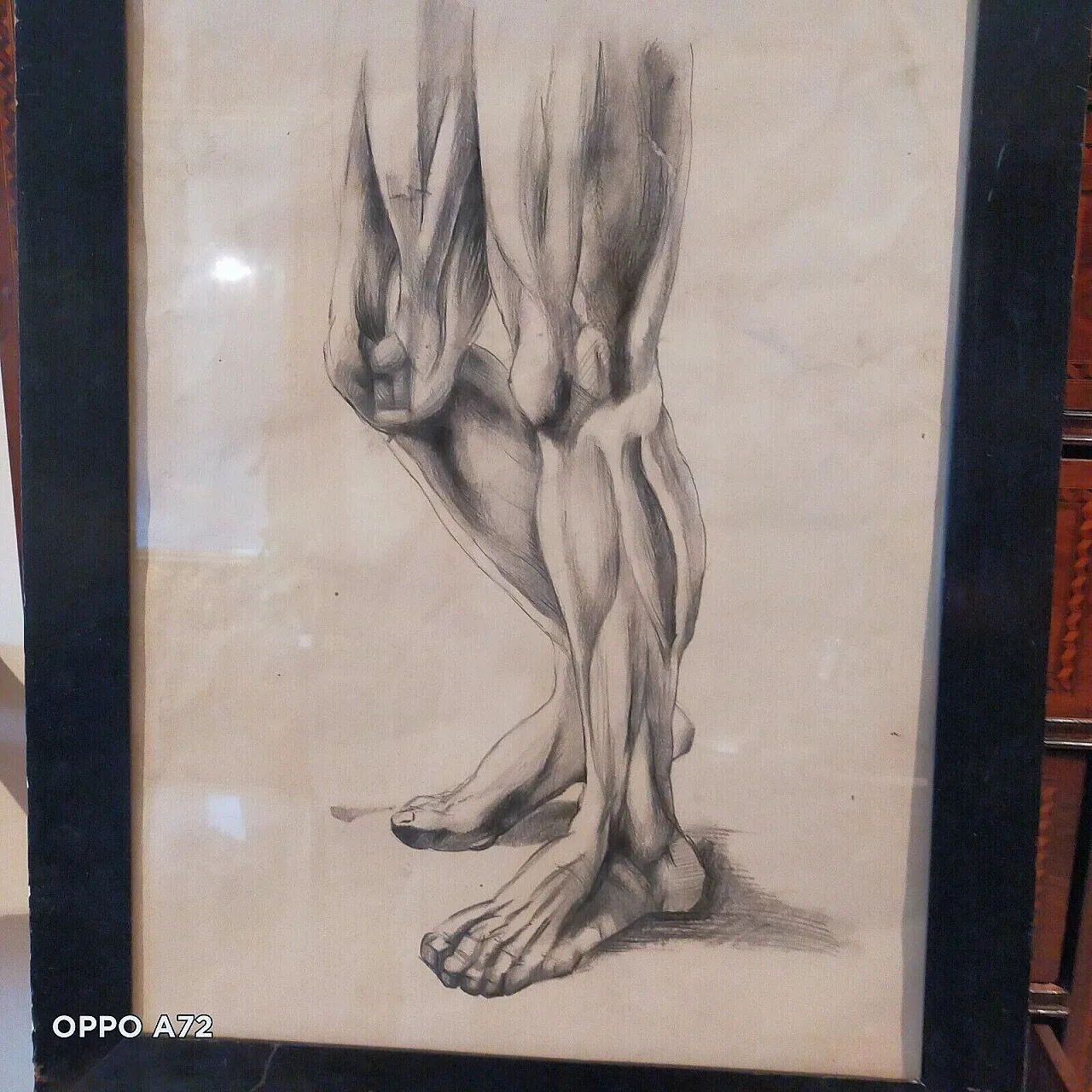 Disegno anatomico, matita su carta, primo '900 5