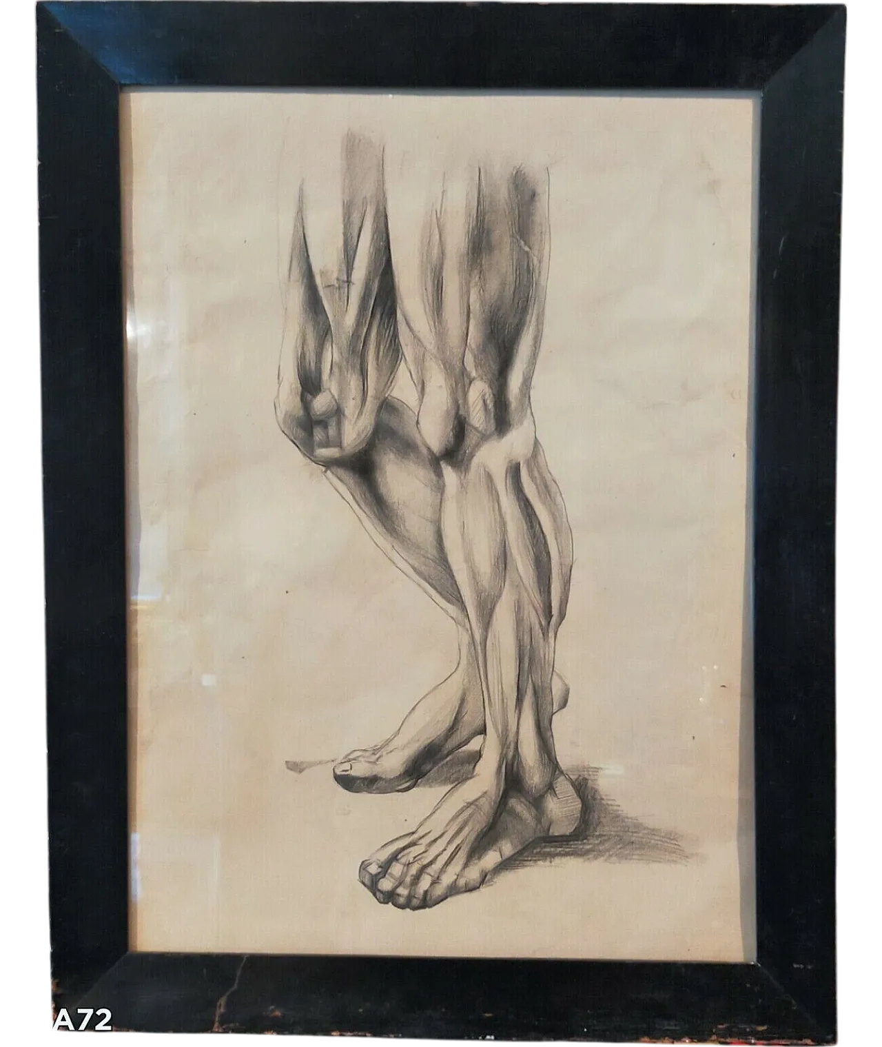 Disegno anatomico, matita su carta, primo '900 7