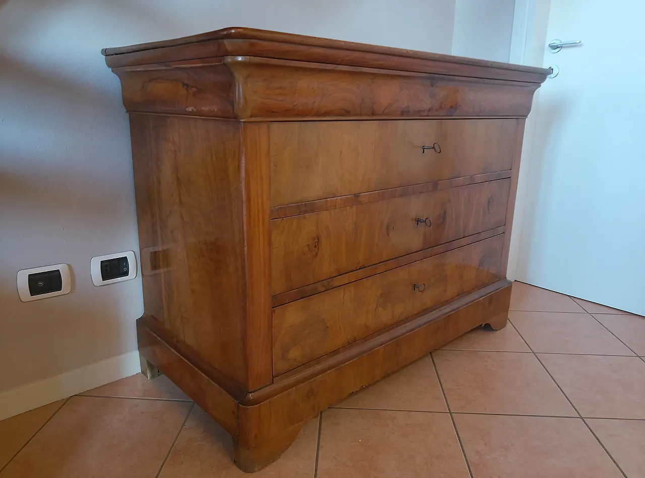 Cassettone lastronato in Luigi Filippo, '800 2