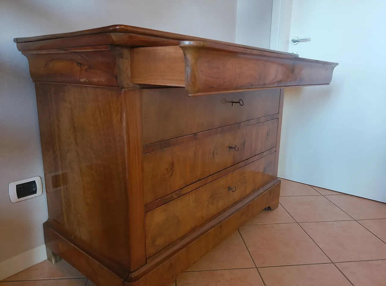 Cassettone lastronato in Luigi Filippo, '800 3