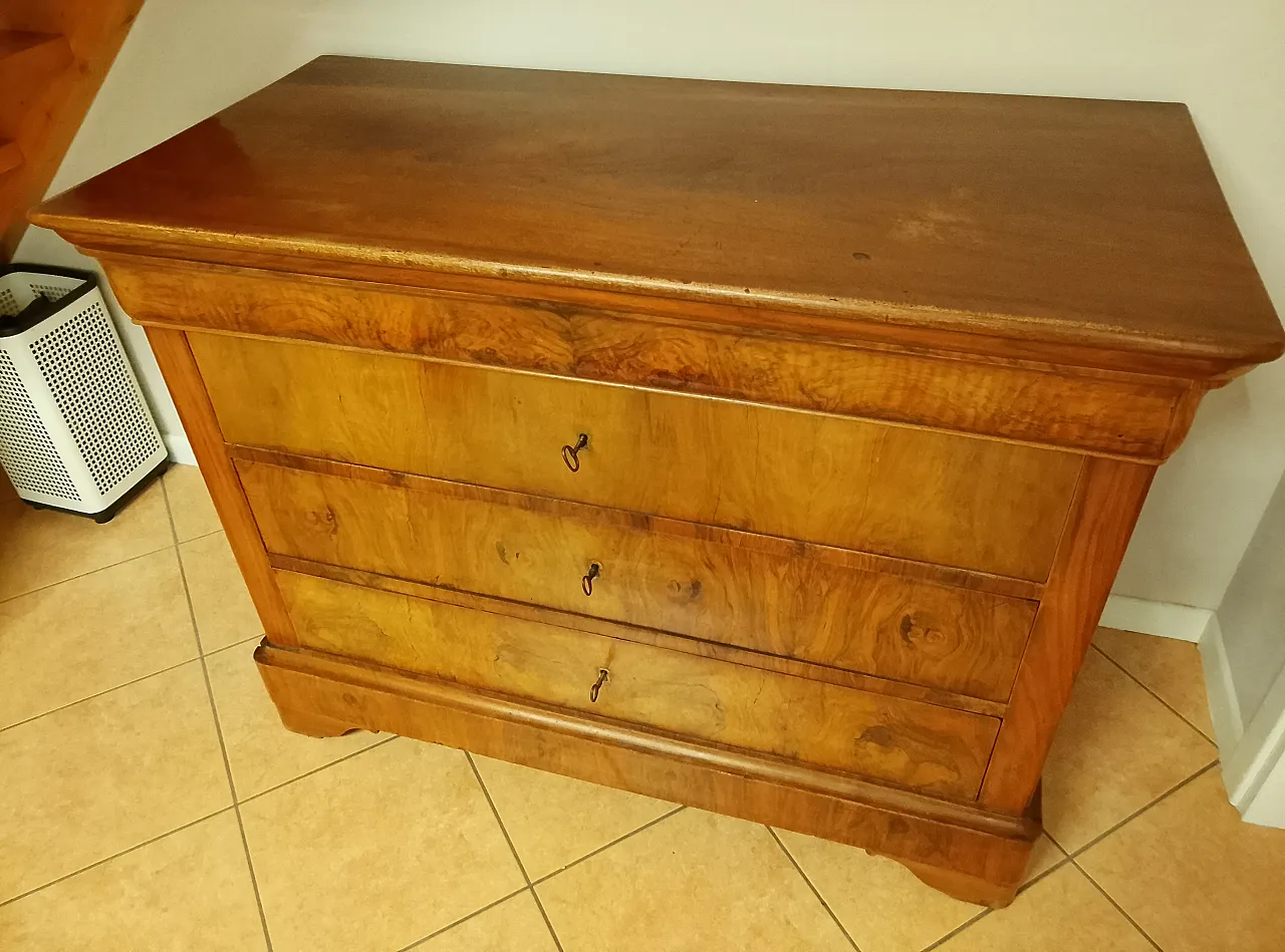 Cassettone lastronato in Luigi Filippo, '800 9