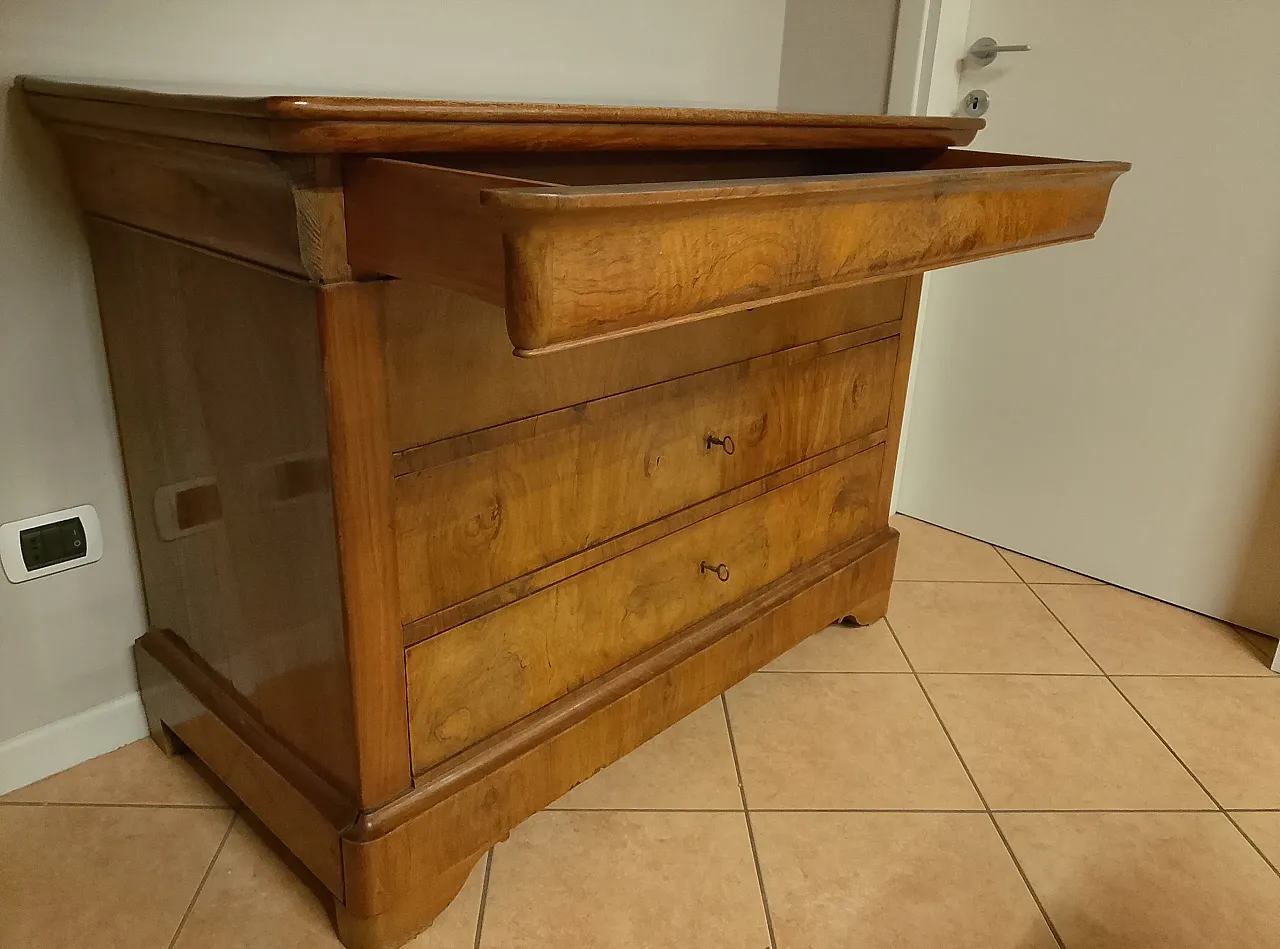 Cassettone lastronato in Luigi Filippo, '800 10