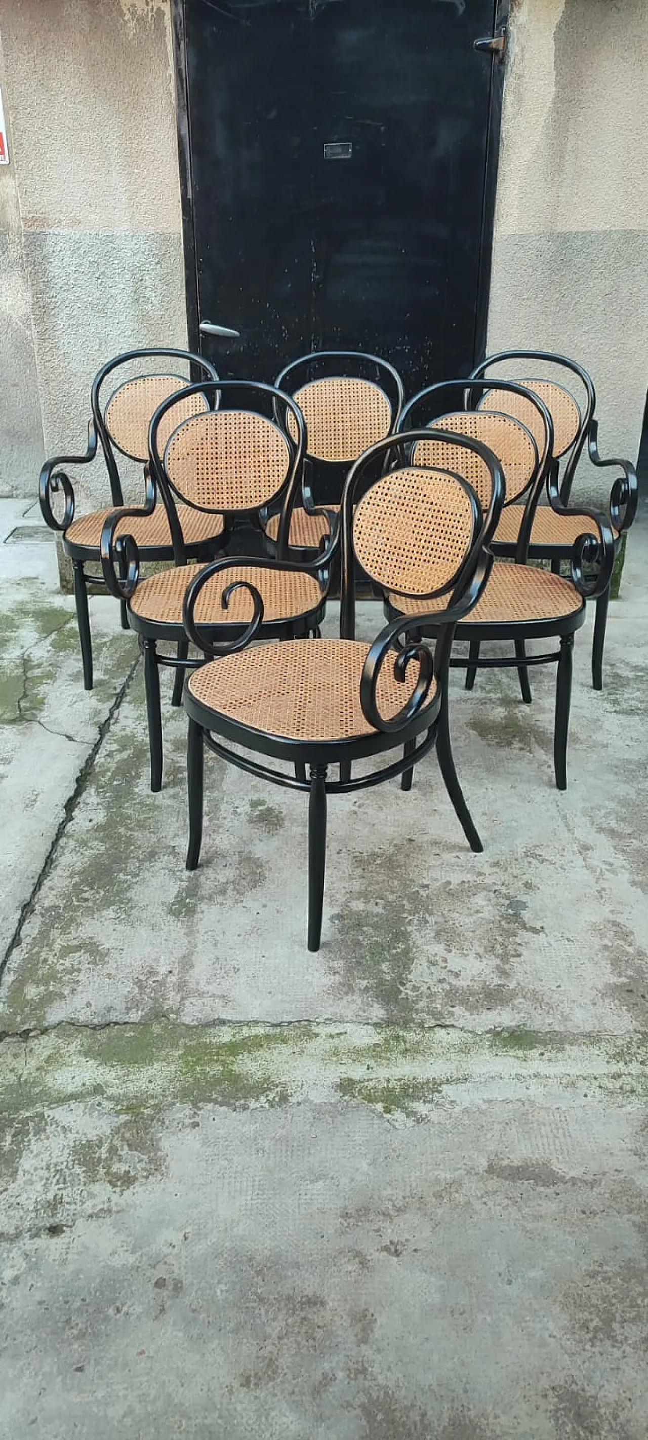 6 sedie Thonet di Sautto e Liberale, primi '900 2
