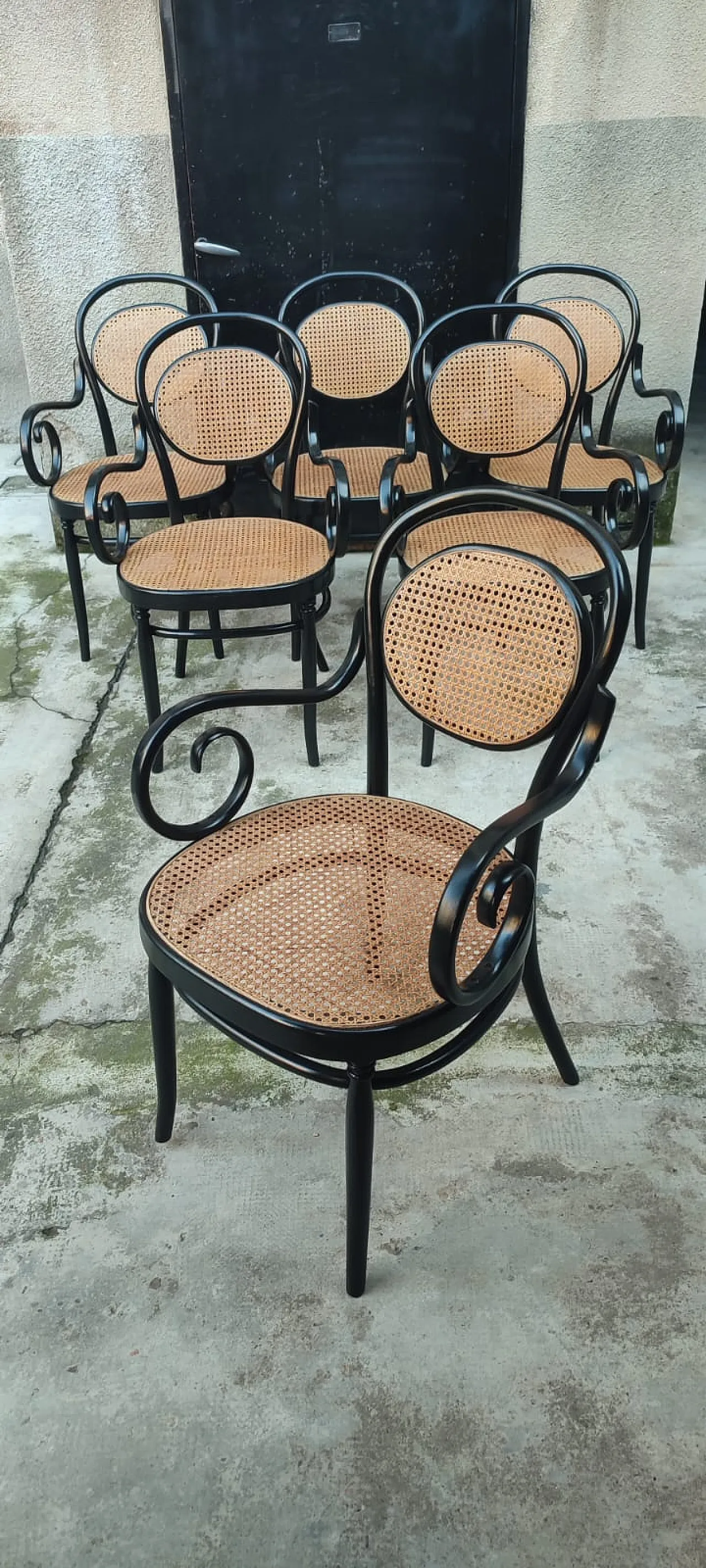 6 sedie Thonet di Sautto e Liberale, primi '900 3