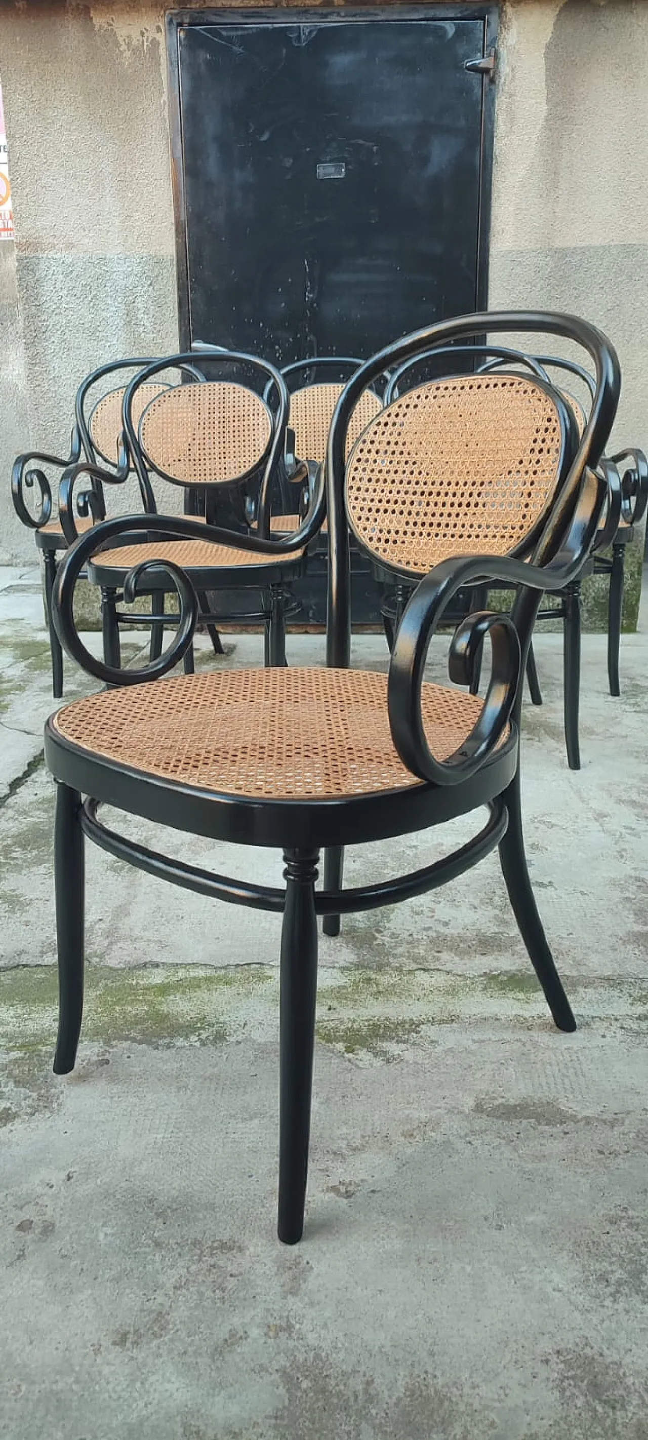 6 sedie Thonet di Sautto e Liberale, primi '900 4
