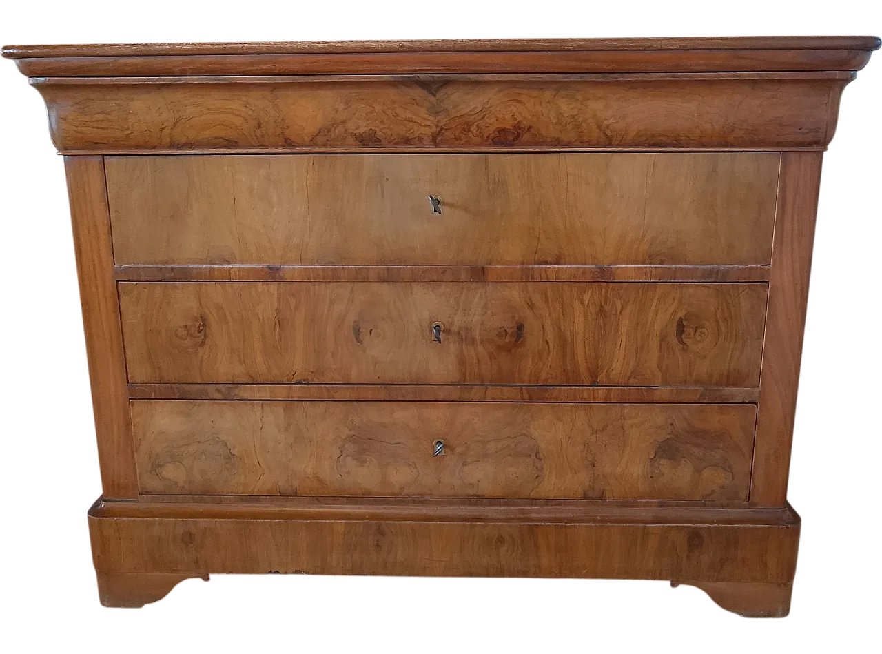 Cassettone lastronato in Luigi Filippo, '800 11