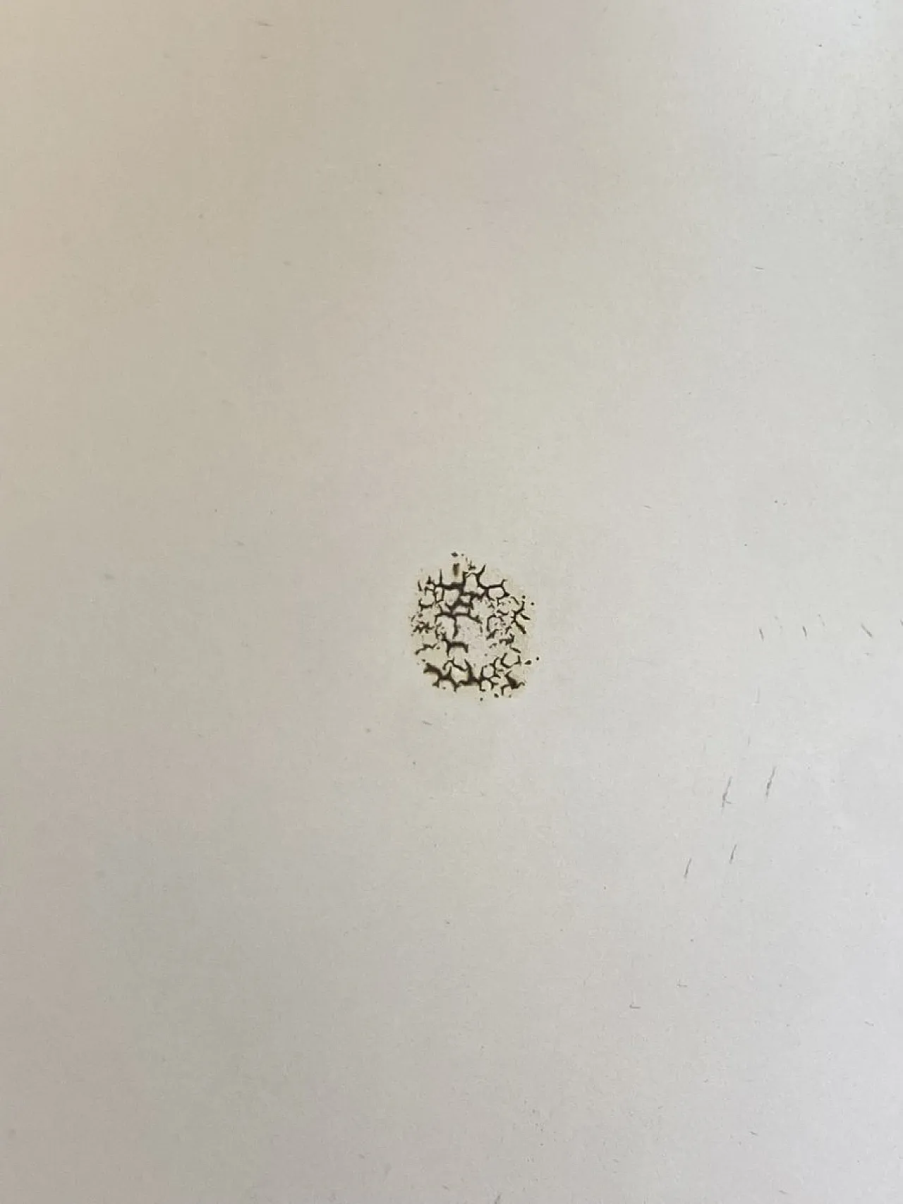 Specchio rotondo, anni '70 4