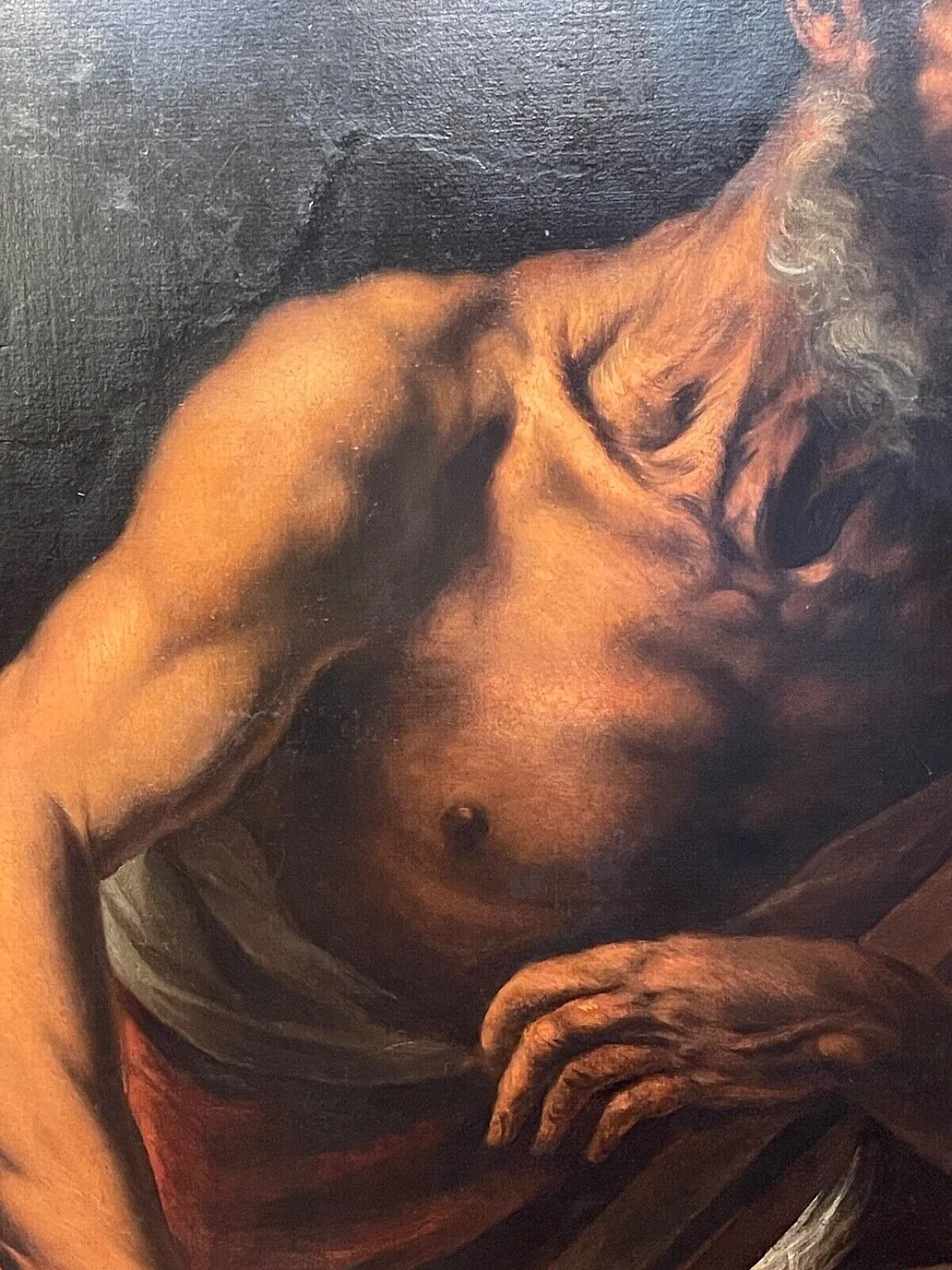 San Girolamo nel deserto, olio su tela, '600 5