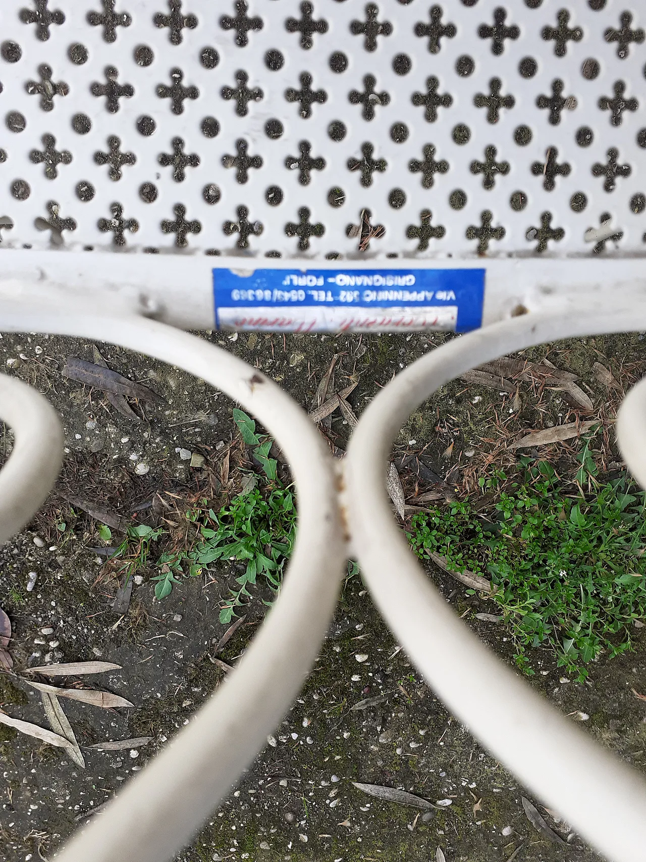 Set giardino in ferro, anni '60 16