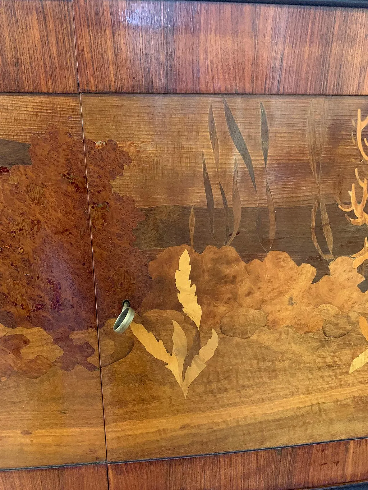 Sala intarsiata di Dassi Mobili Moderni, anni '50, set di 12 6