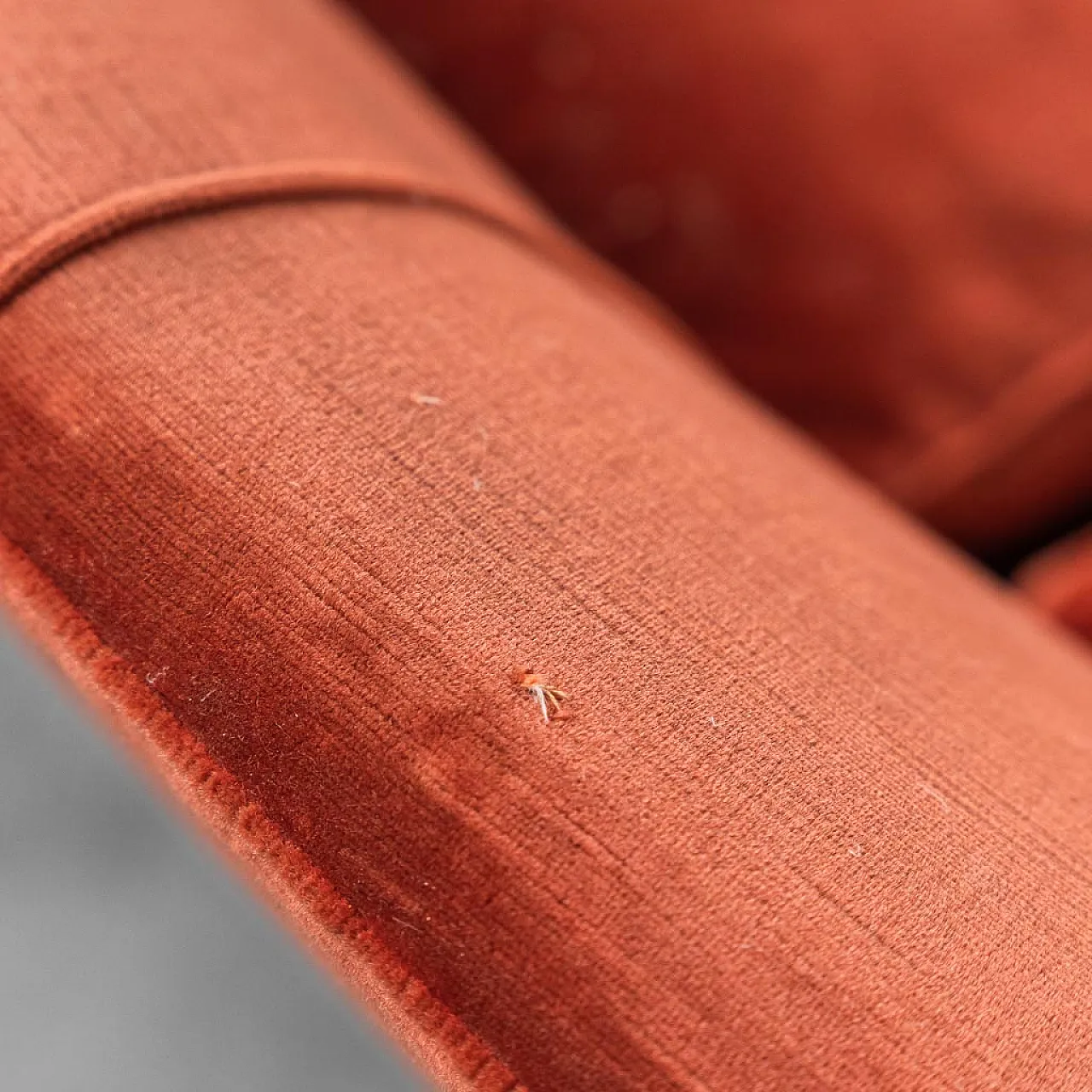 3 seater sofa velvet, 50s 12