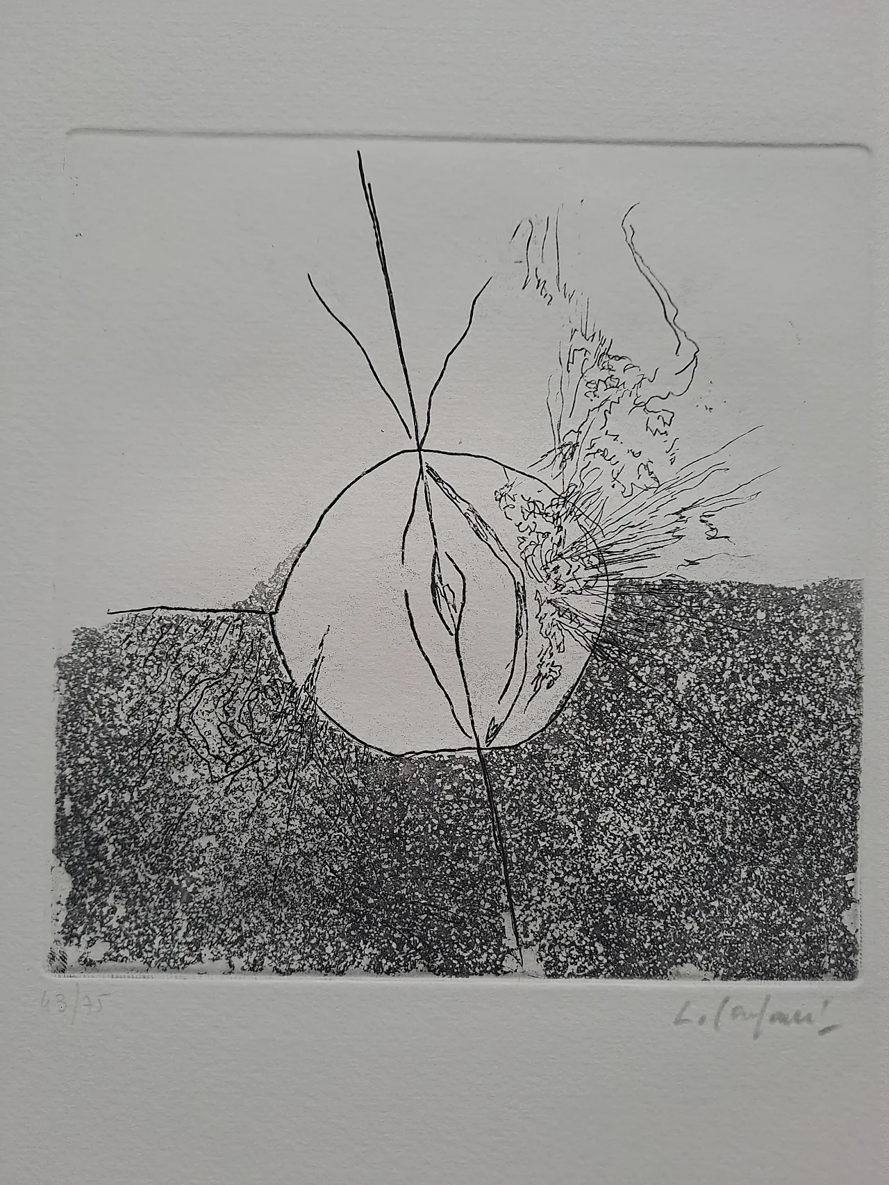 10 Acqueforti d'artista, numerate, '900 2