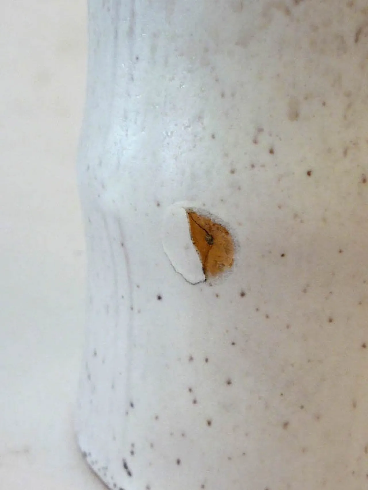 6 Tazze in ceramica di Alessio Tasca, anni '70 10