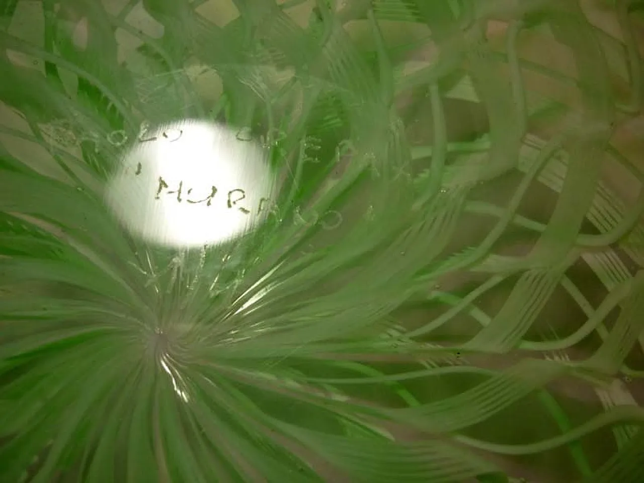 Piatto in vetro di Murano di Paolo Crepax, anni '80 3