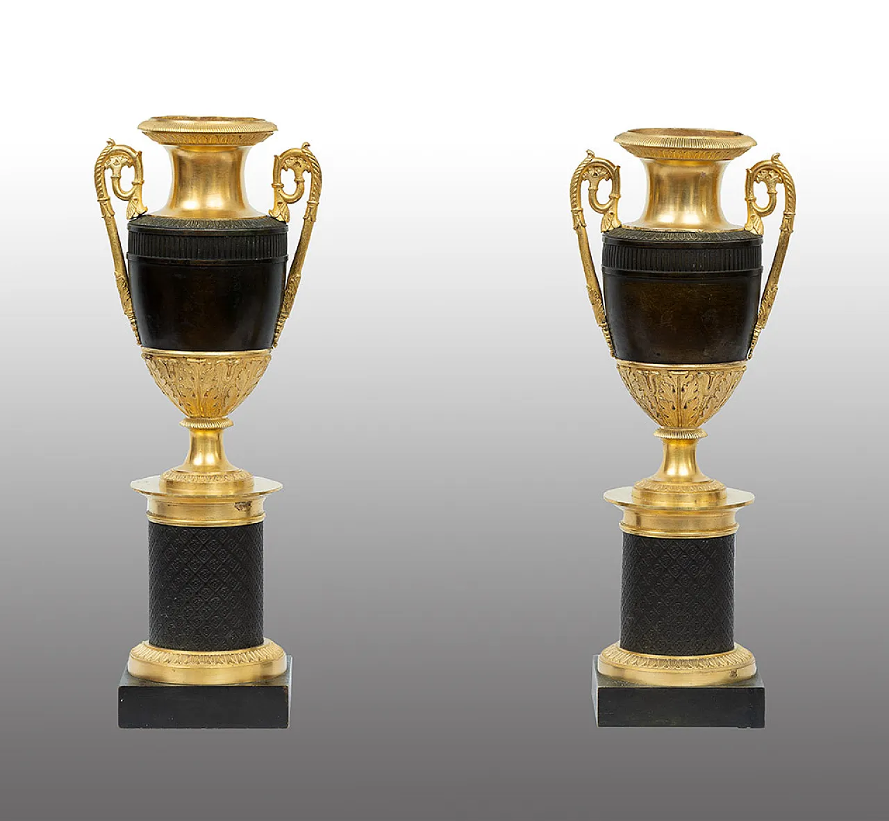 Pair of vases Carlo X in golden bronze and PA bronze, 19th century 1