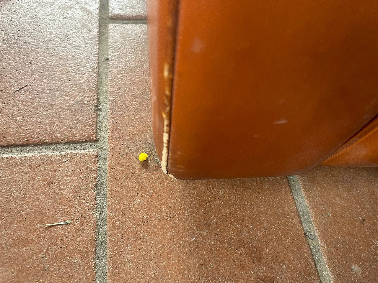 Petronio Sofa by Tito Agnoli for Poltrona Frau, 1970s 6