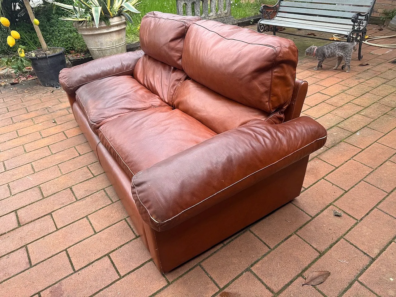 Petronio Sofa by Tito Agnoli for Poltrona Frau, 1970s 10