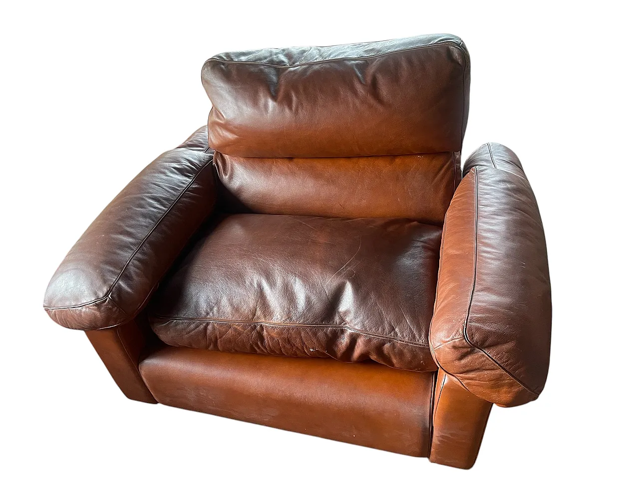 Frau Leather Armchair by Tito Agnoli for Poltrona Frau, 1980s 1