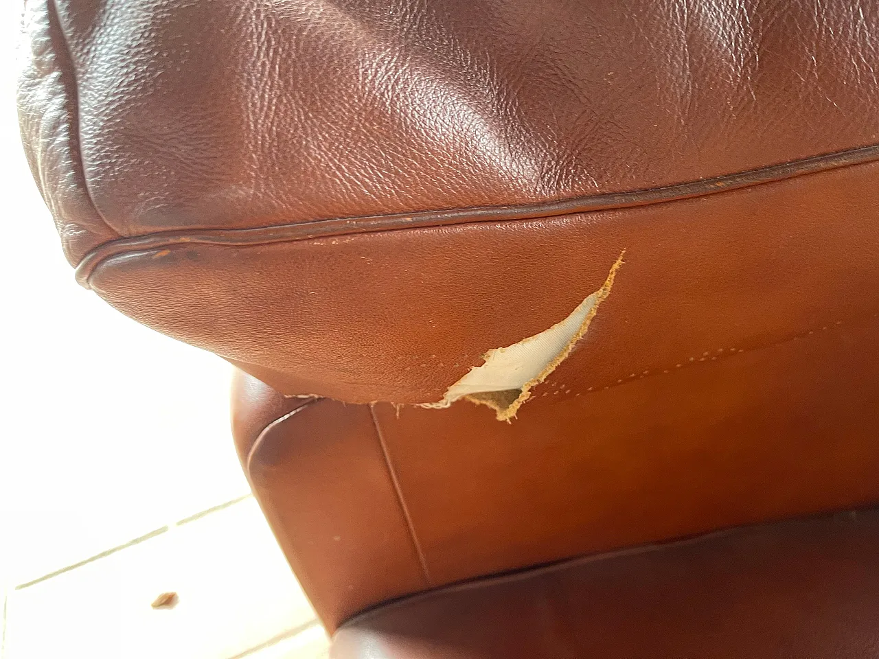 Frau Leather Armchair by Tito Agnoli for Poltrona Frau, 1980s 5