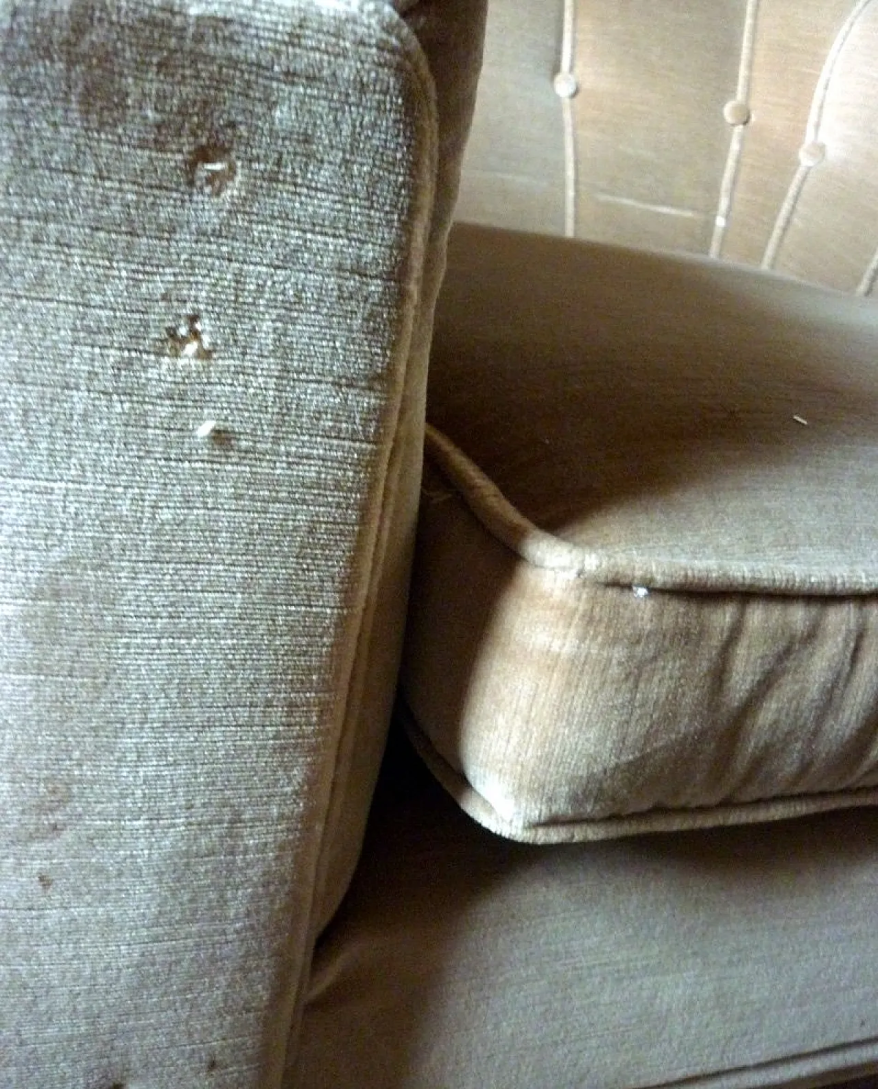 Coppia di poltrone in legno e velluto, anni '40 12