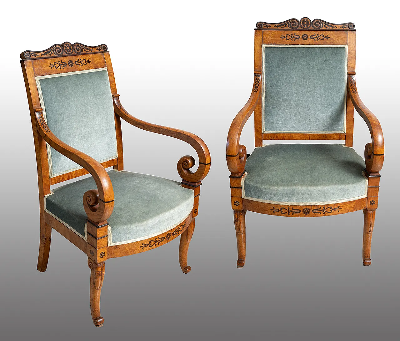 Coppia di poltrone Carlo X in radica di olmo e amaranto, '800 1