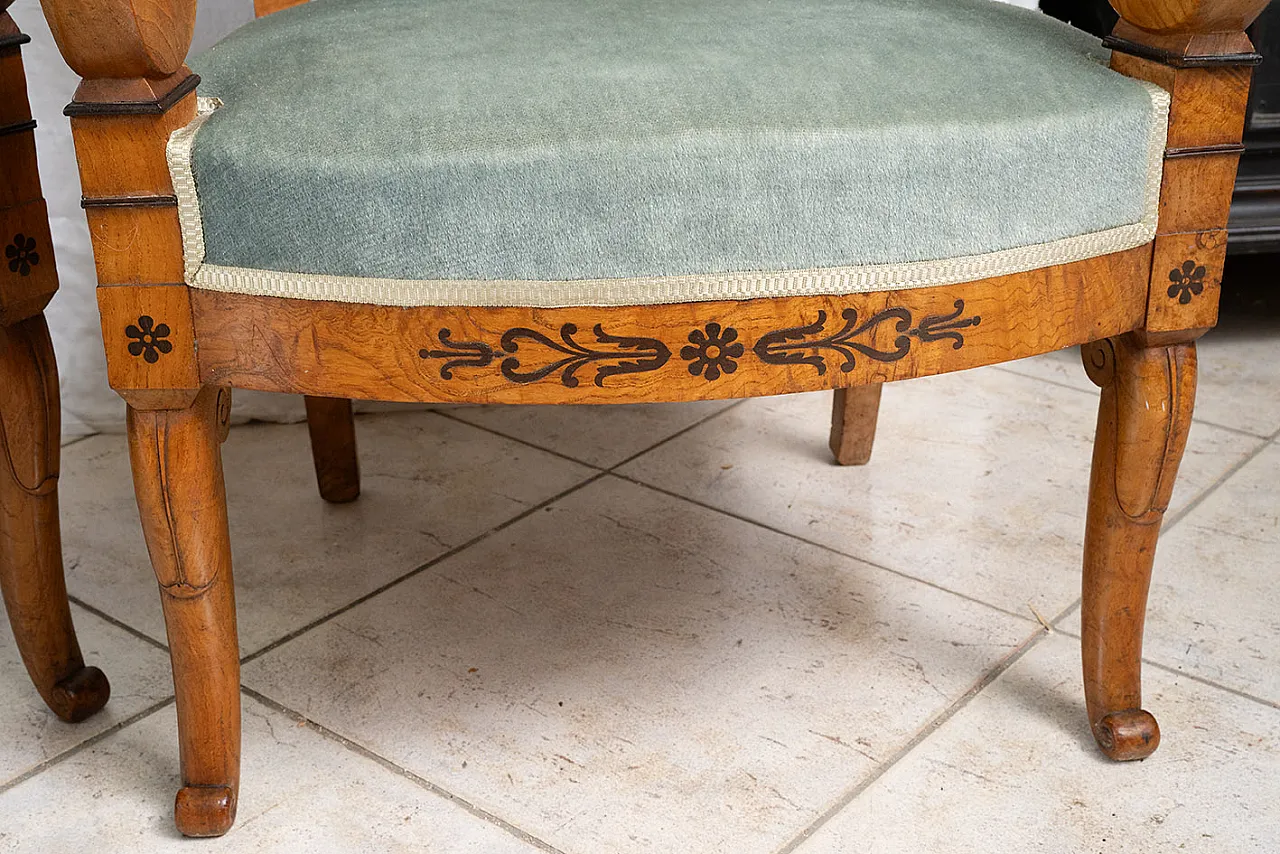 Coppia di poltrone Carlo X in radica di olmo e amaranto, '800 3