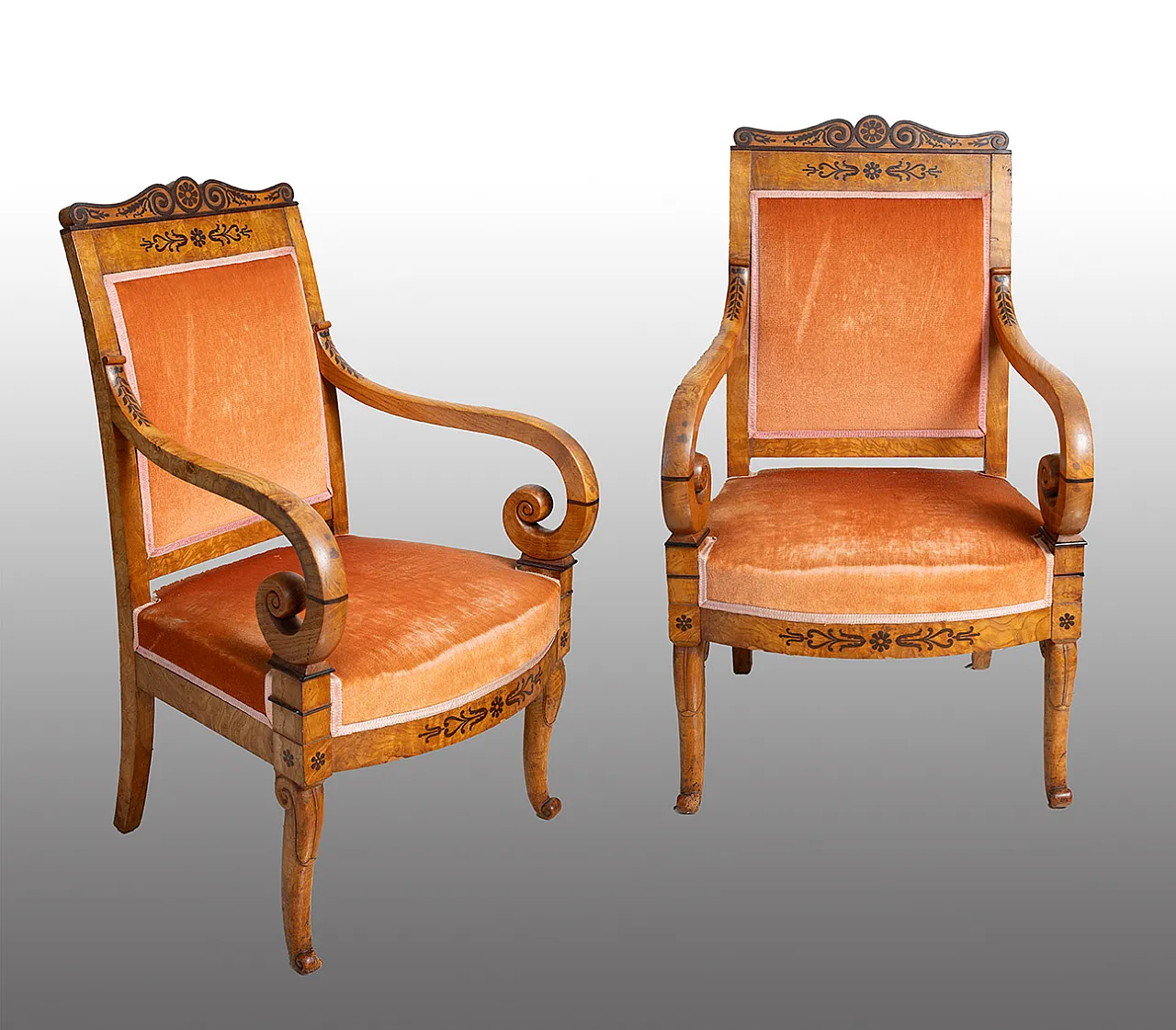 Coppia di poltrone antiche Carlo X in radica di olmo e amaranto. Franc 1