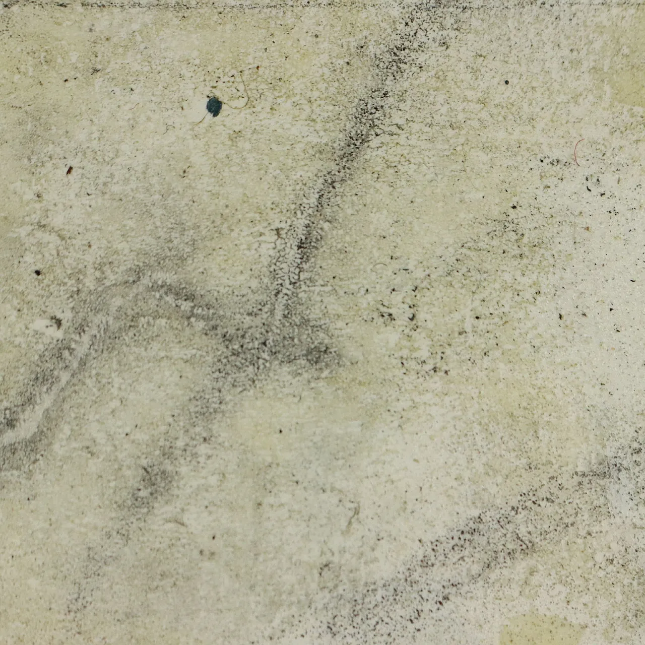 Dipinto di Luca Caccioni, '900 4