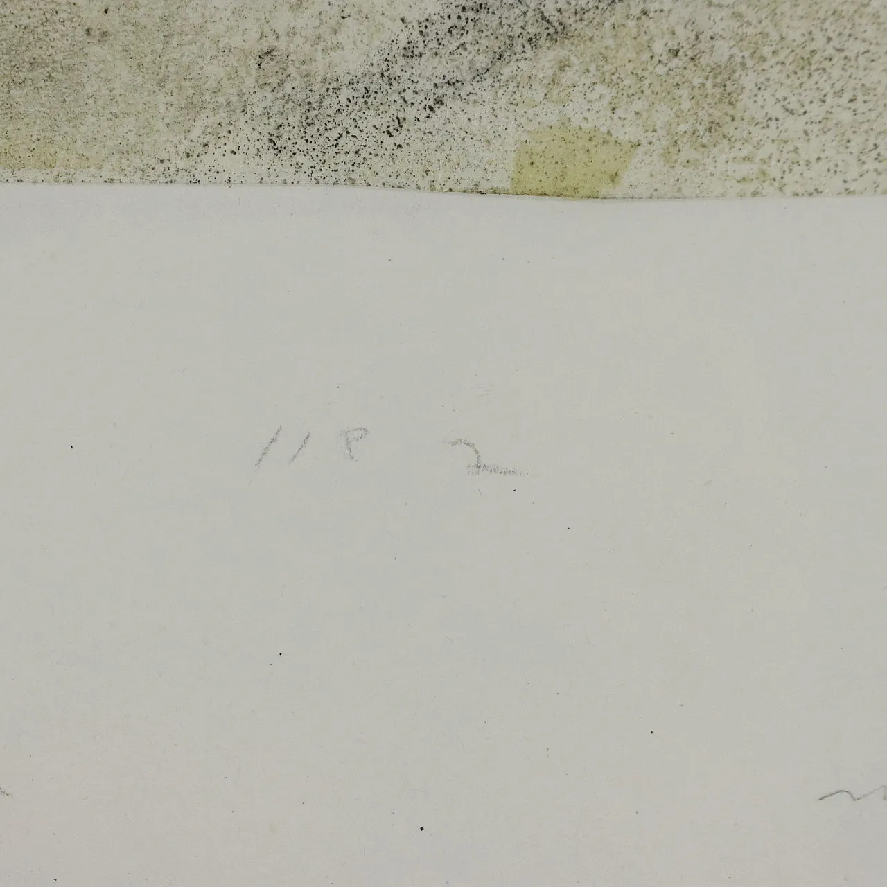 Dipinto di Luca Caccioni, '900 5