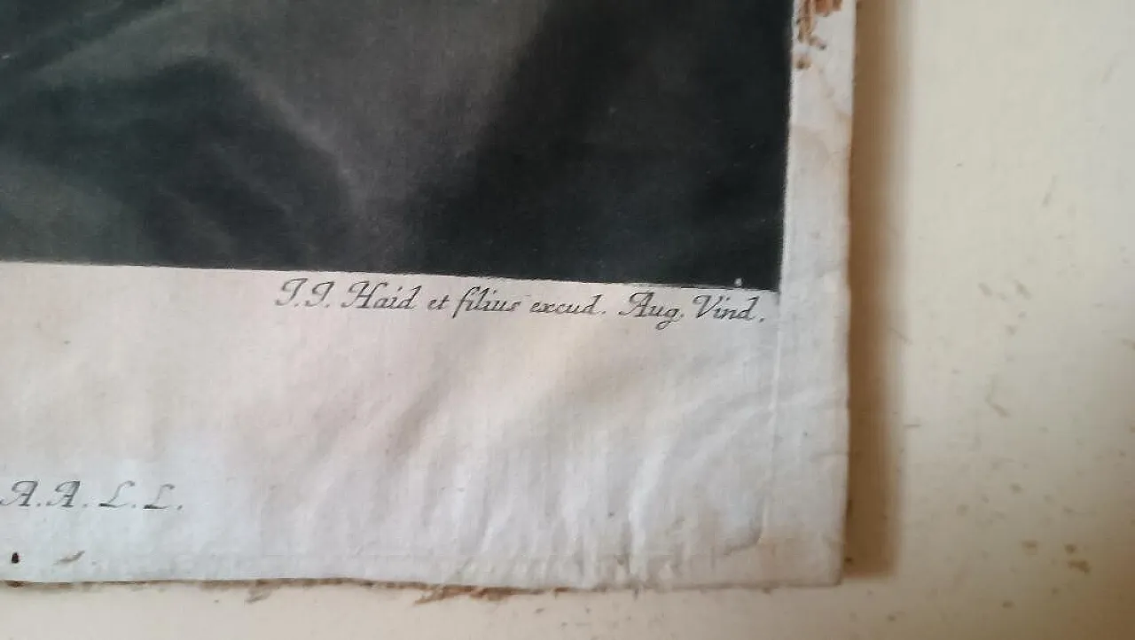 Manly portrait of Johann Jacob Haid, engraving on paper, 18th century 7