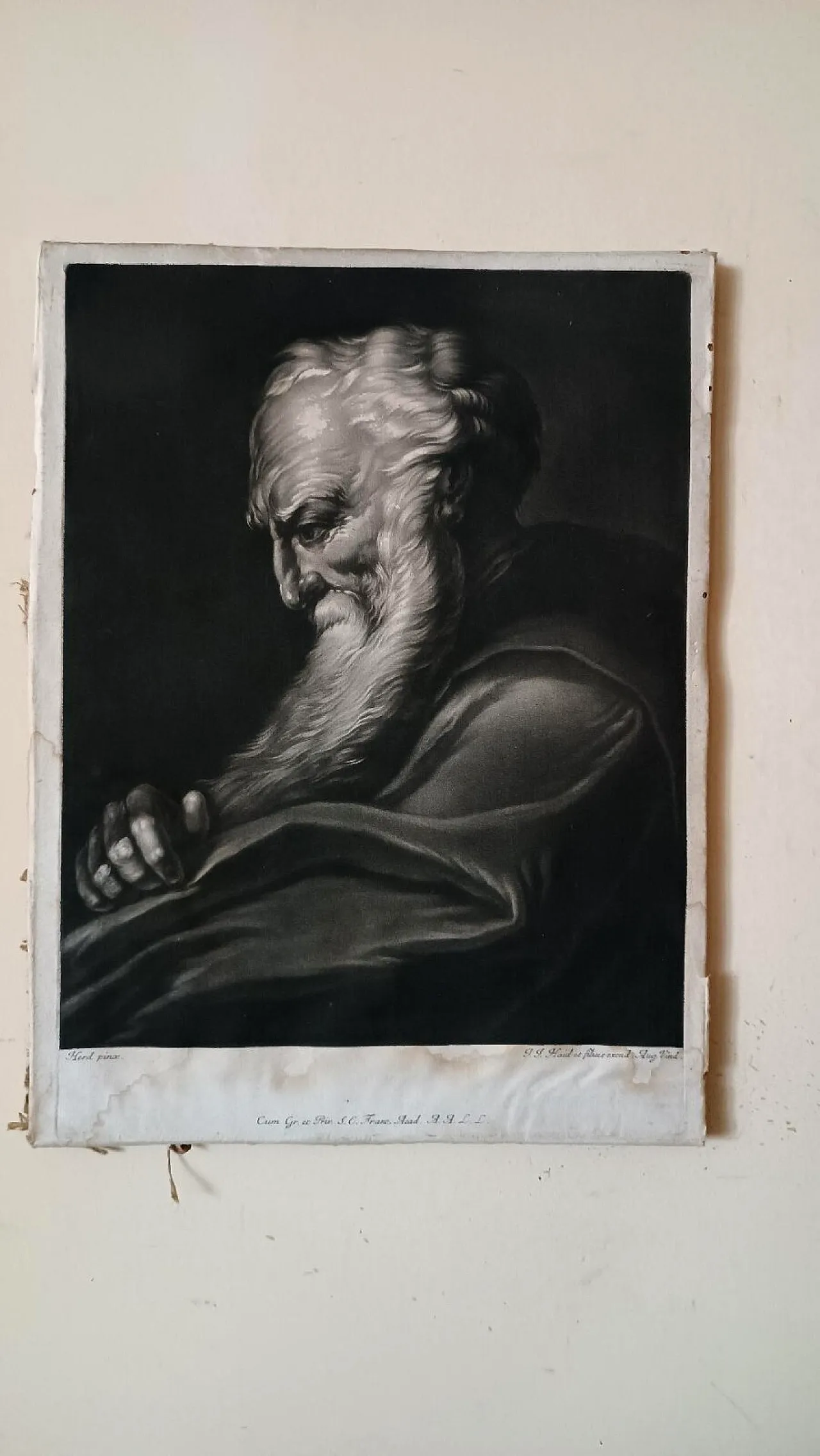 Manly portrait of Johann Jacob Haid, engraving on paper, 18th century 1