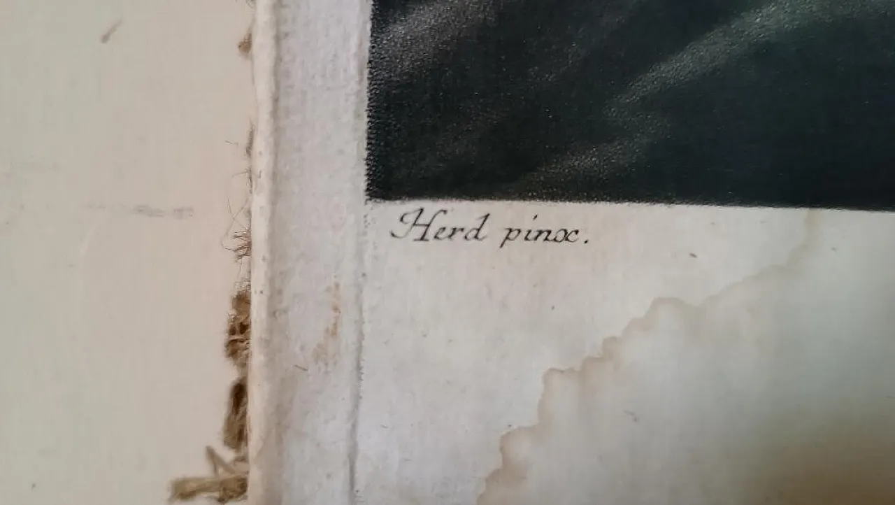 Manly portrait of Johann Jacob Haid, engraving on paper, 18th century 5