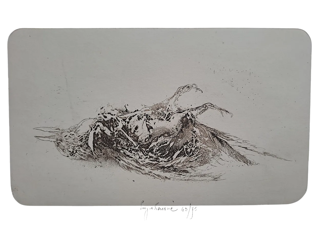 10 Acqueforti d'artista, numerate, '900 13