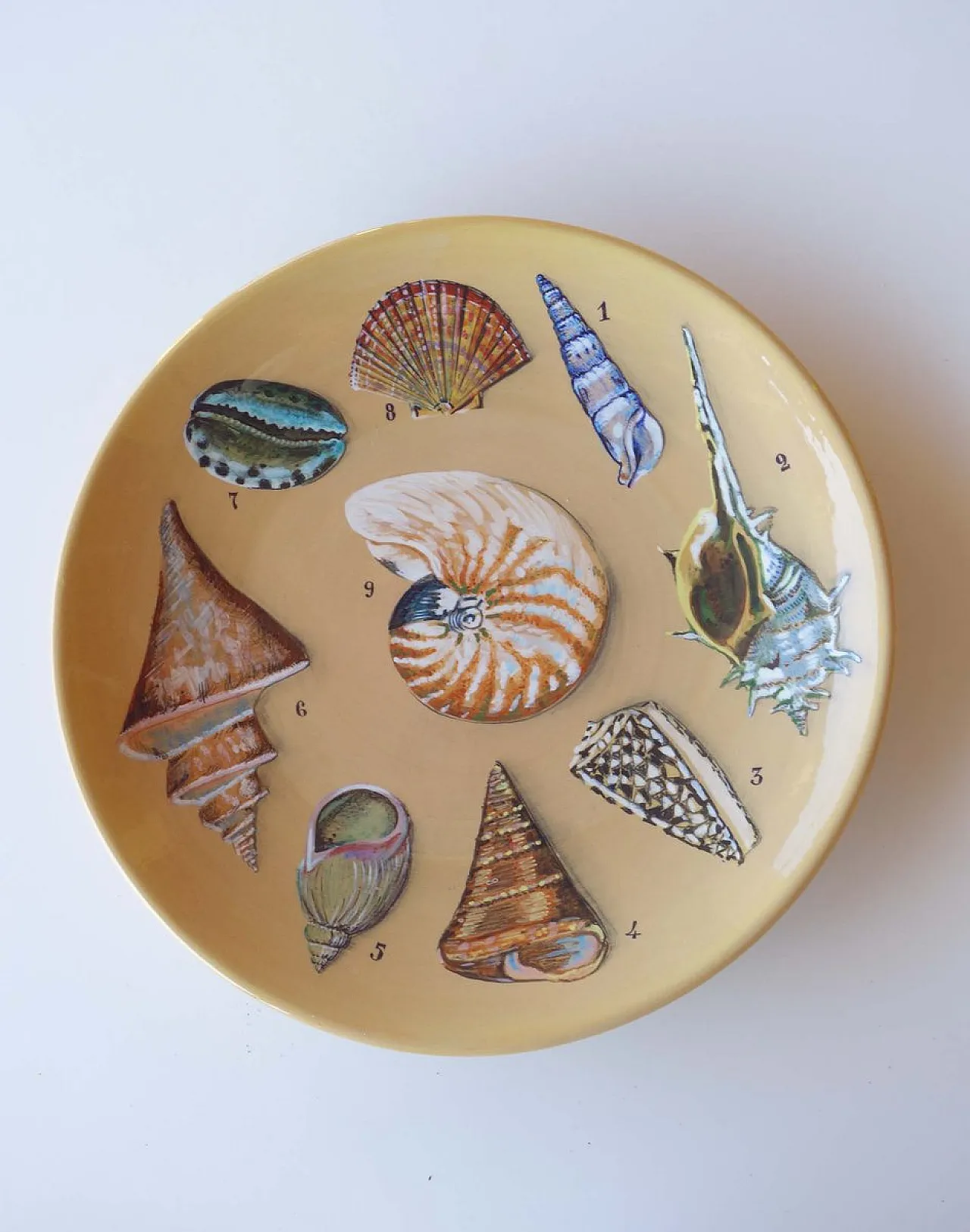 Coppia di piatti Shells and Pipes in ceramica dipinti a mano, anni '50 2