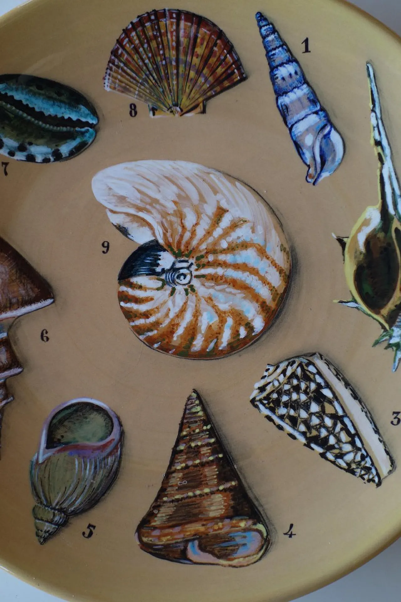 Coppia di piatti Shells and Pipes in ceramica dipinti a mano, anni '50 4