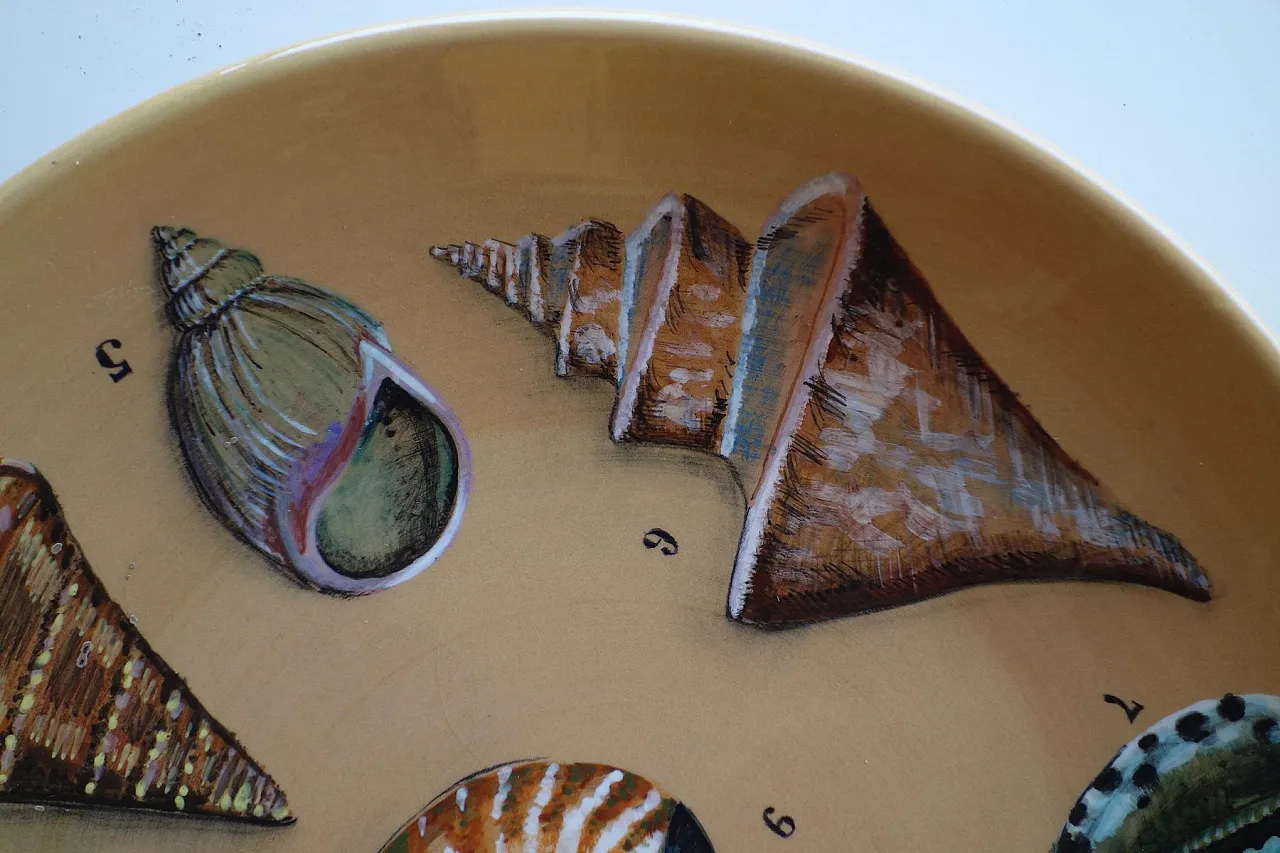 Coppia di piatti Shells and Pipes in ceramica dipinti a mano, anni '50 5