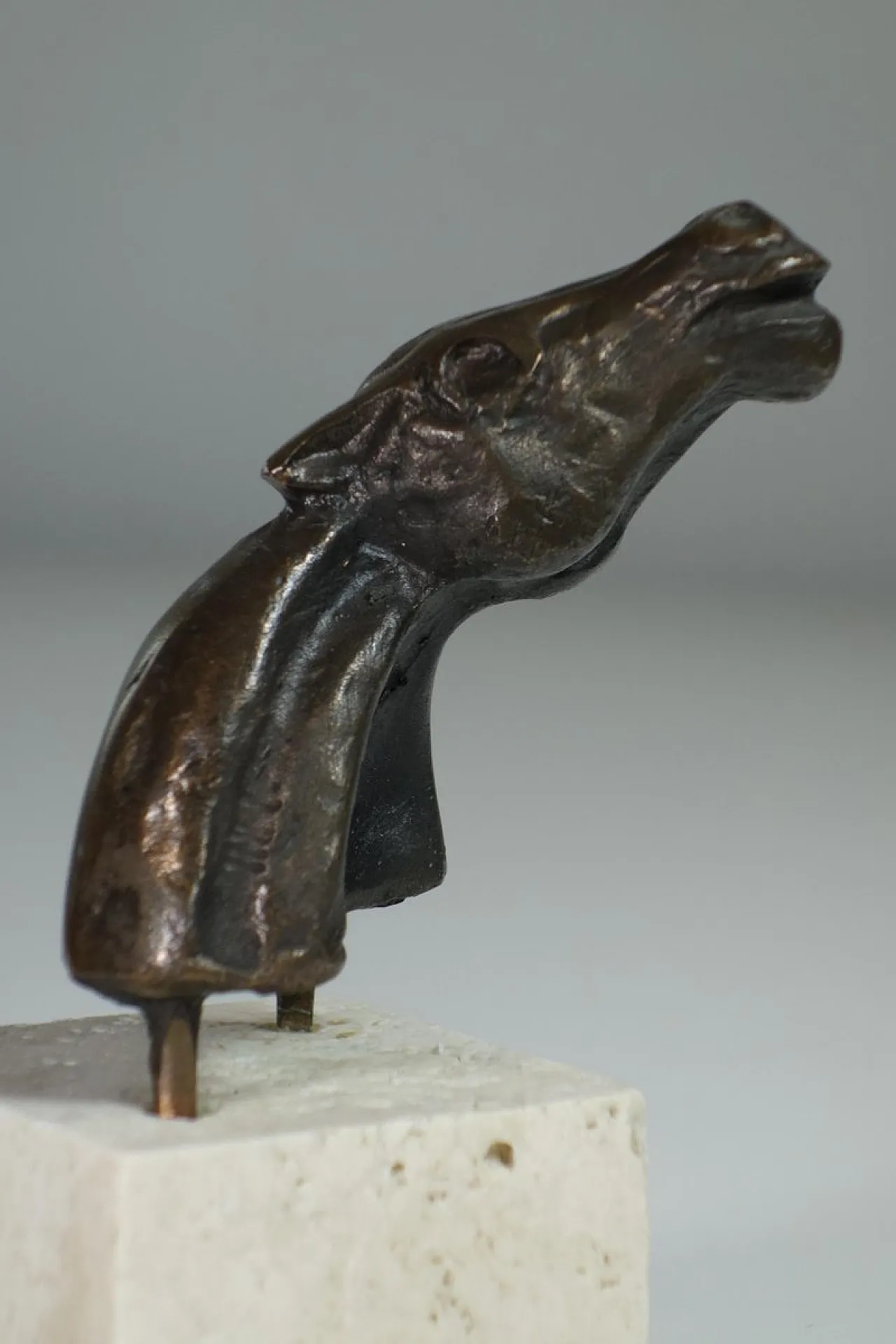 Scultura Testa di cavallo di Bruno Cassinari, anni '70 4