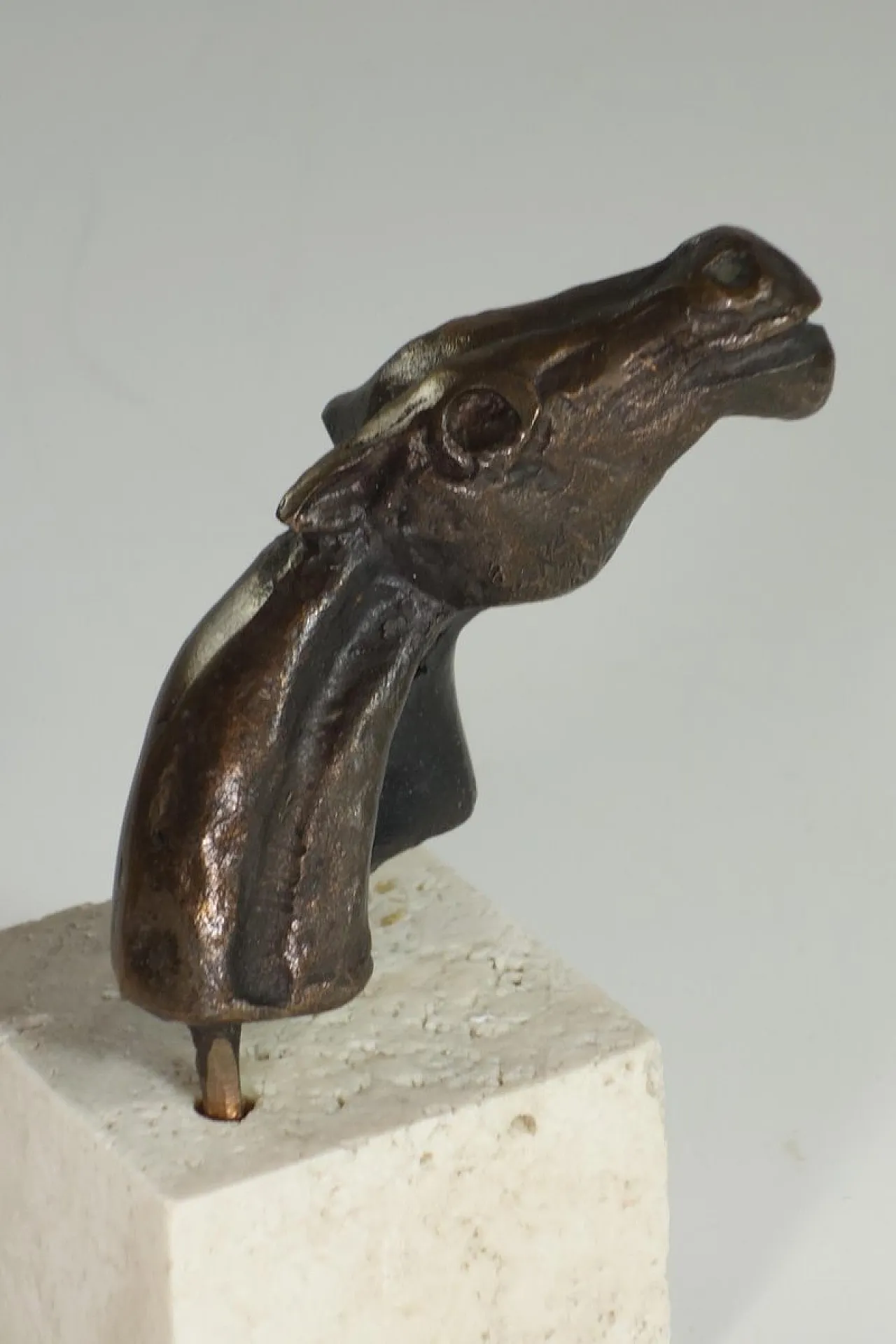 Scultura Testa di cavallo di Bruno Cassinari, anni '70 6